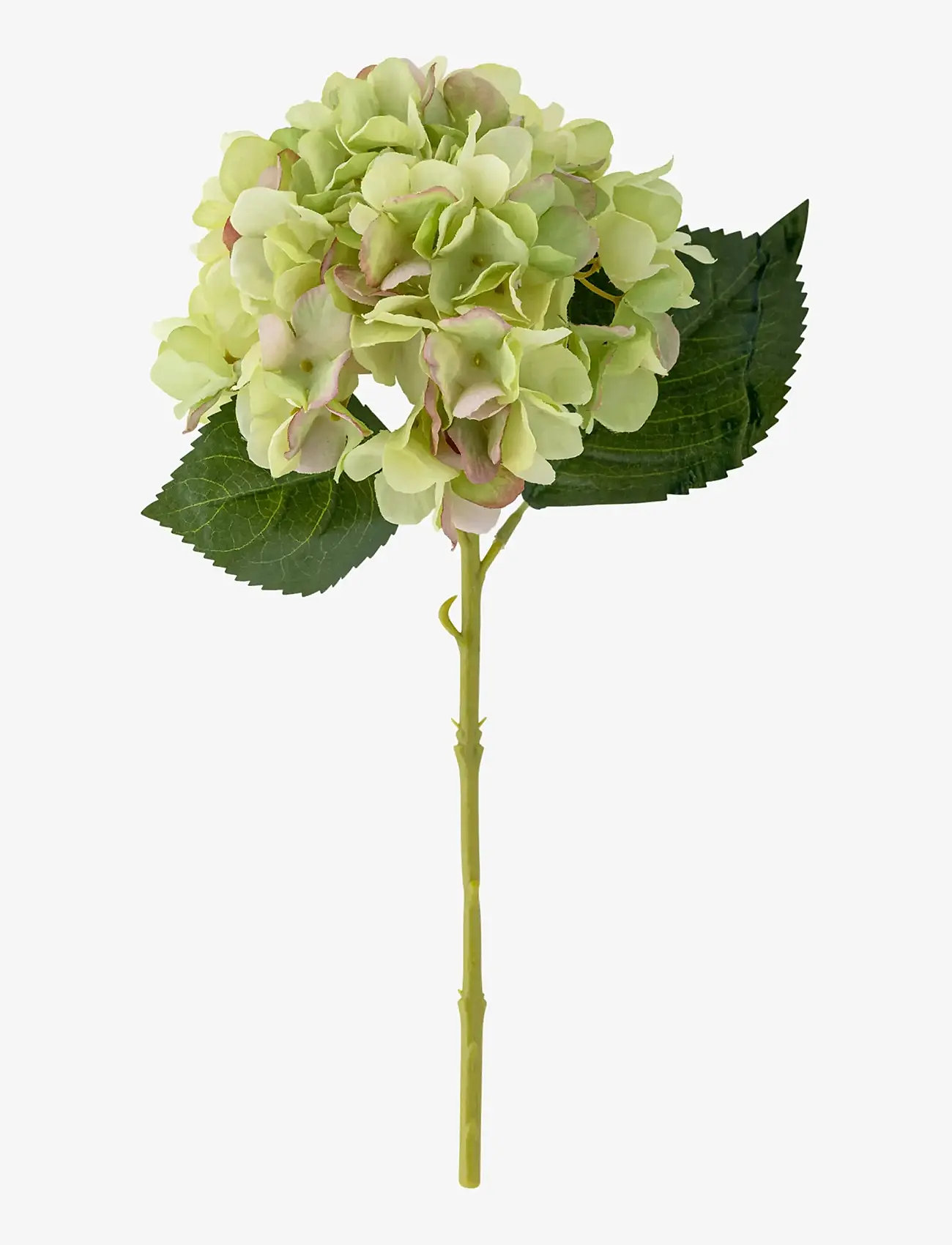 Bloomingville - Hydrangea Stem white - valentinstaggeschenke - white - 0