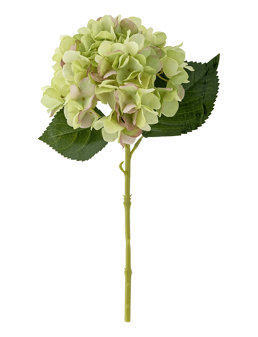 Bloomingville - Hydrangea Stem white - sõbrapäeva kingitused - white - 1