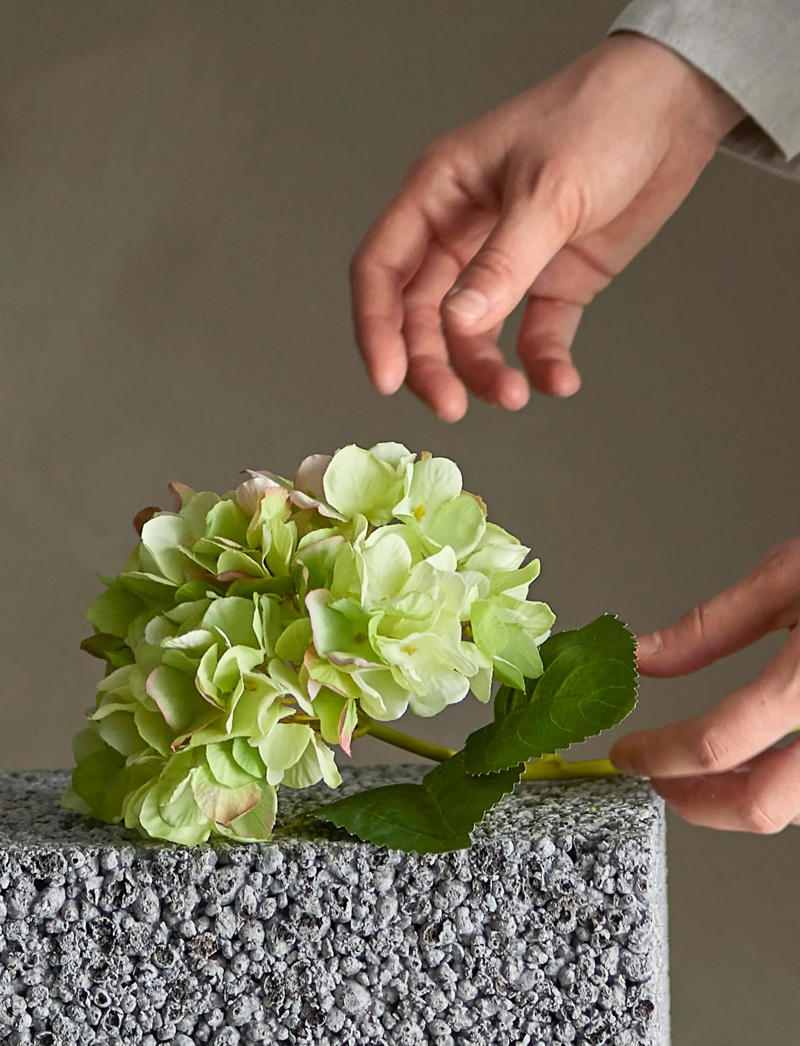 Bloomingville Hydrangea Stem White, H36 cm, Decoration, Grün - Dried & Fake Flowers, Homeware