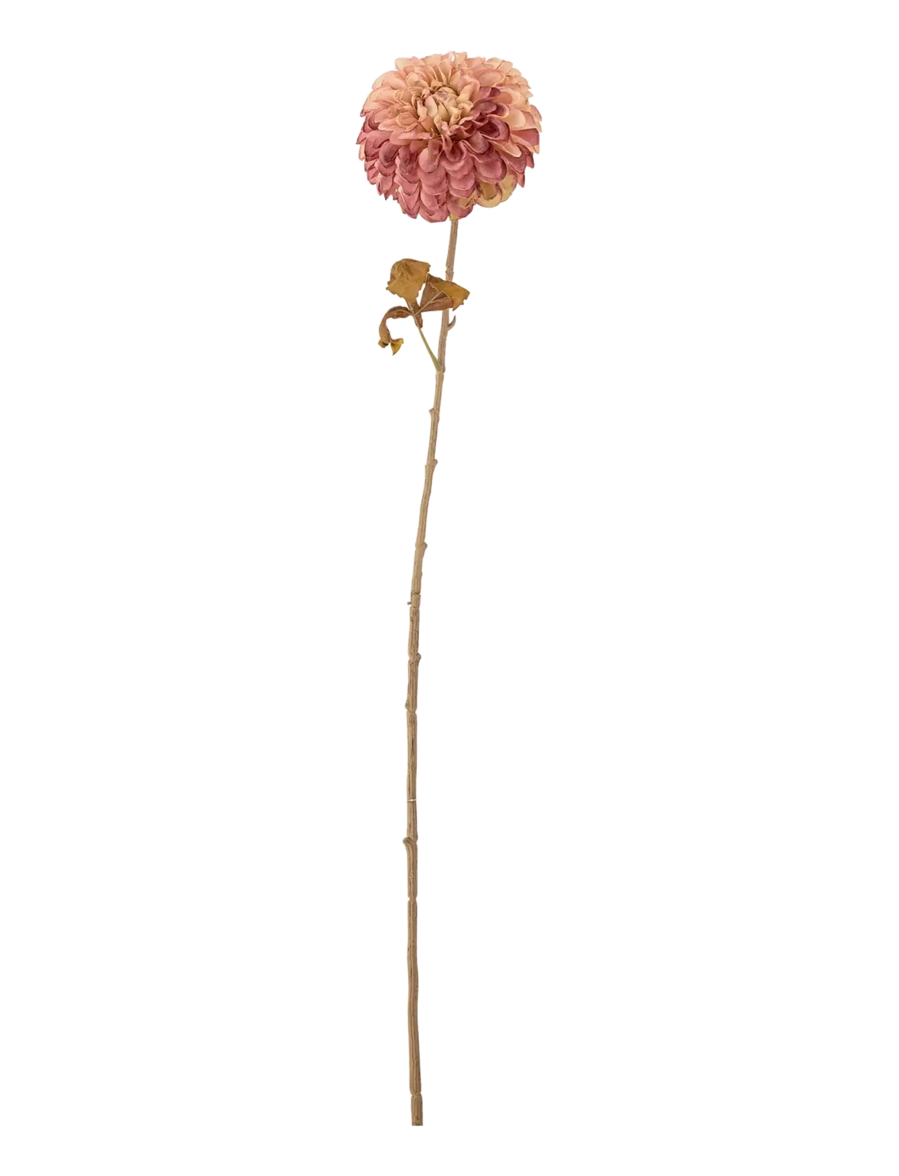BLOOMINGVILLE Chrysantemum Stem Pink - H73CM - Unisex