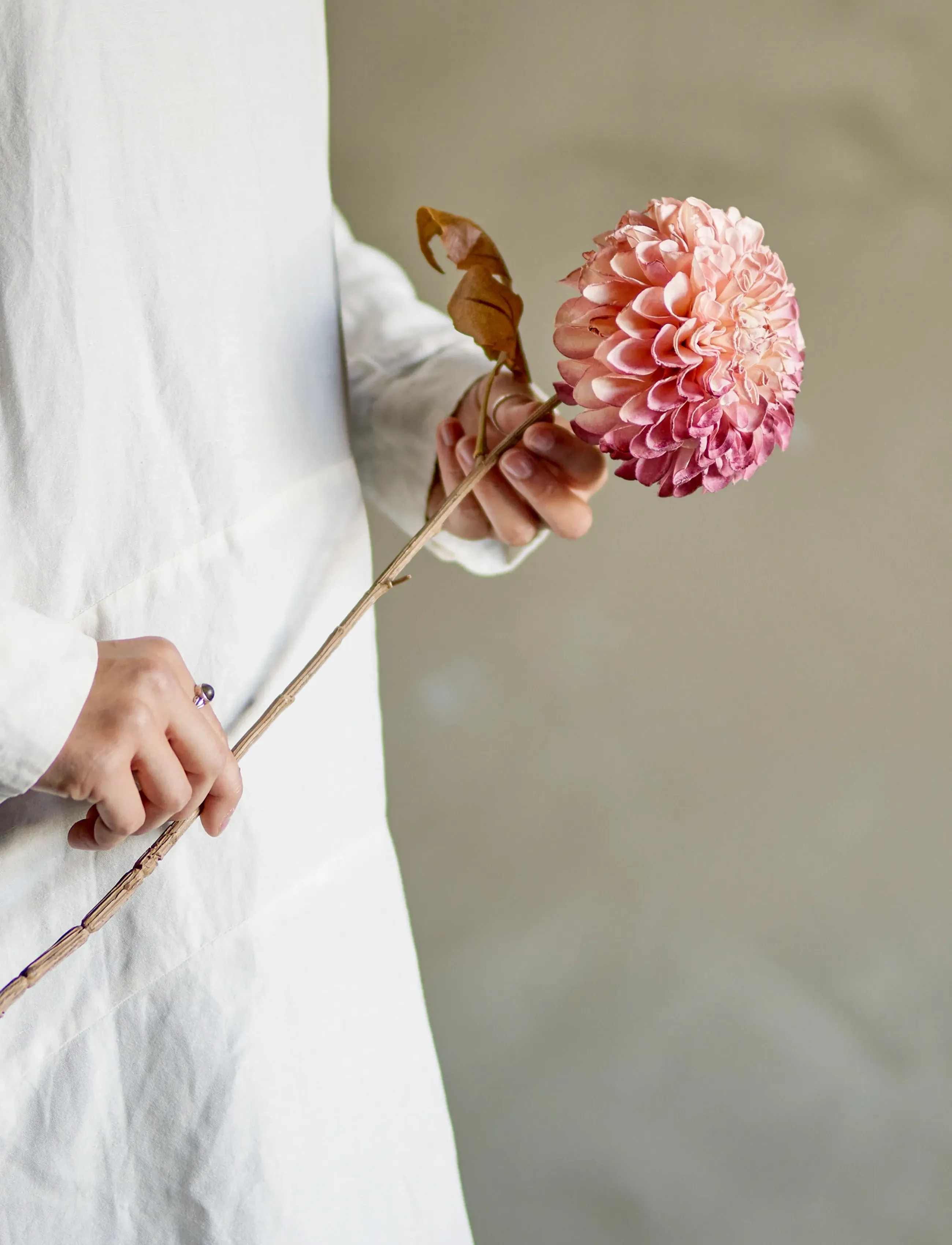 Bloomingville Chrysantemum Stem, H73 cm, Pink, Decoration > Dried & Fake Flowers, Unisex