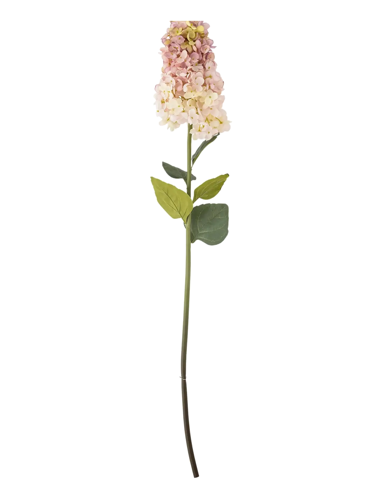Bloomingville Hydrangea Stem, Dried & Fake Flowers, Pink, Str: H95CM