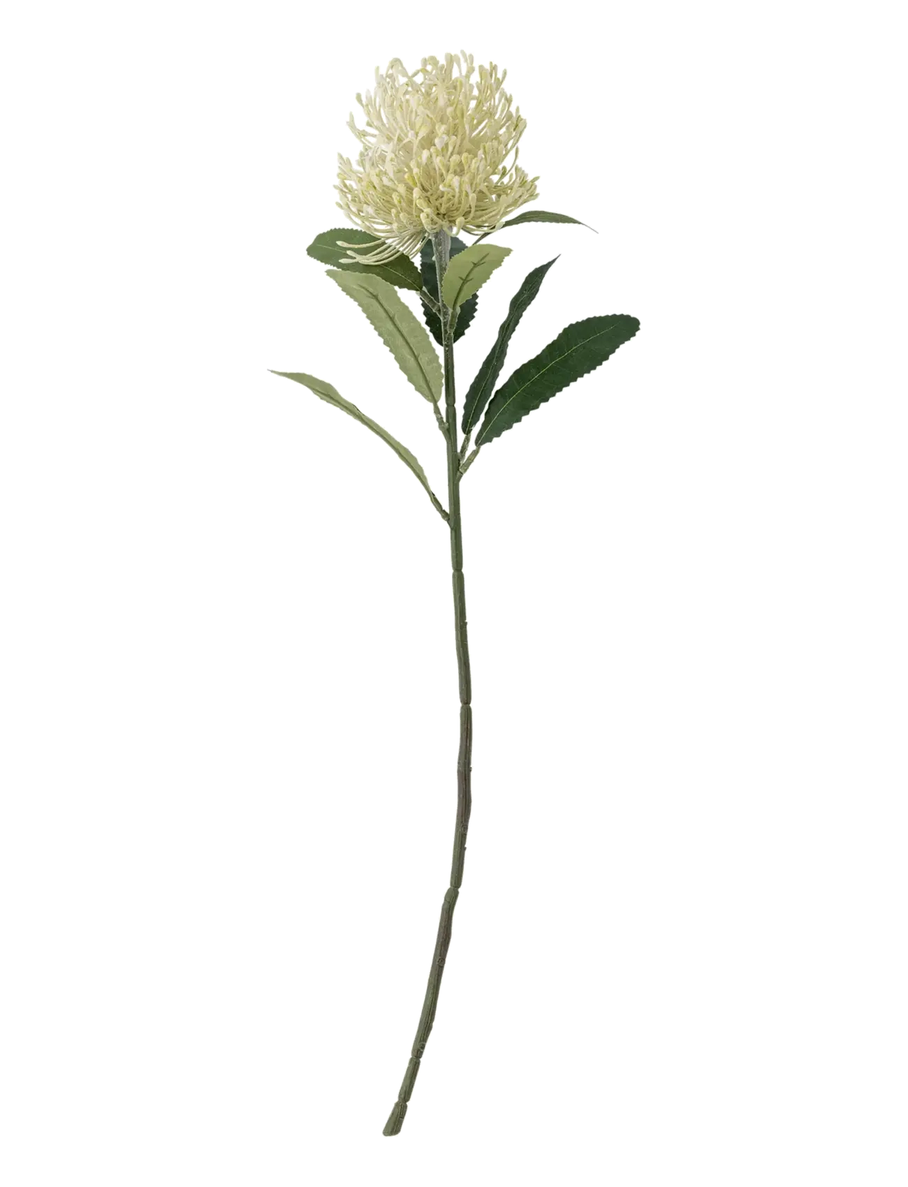 Bloomingville Needle Flower Stem, Dried & Fake Flowers, Gul, Str: H61CM