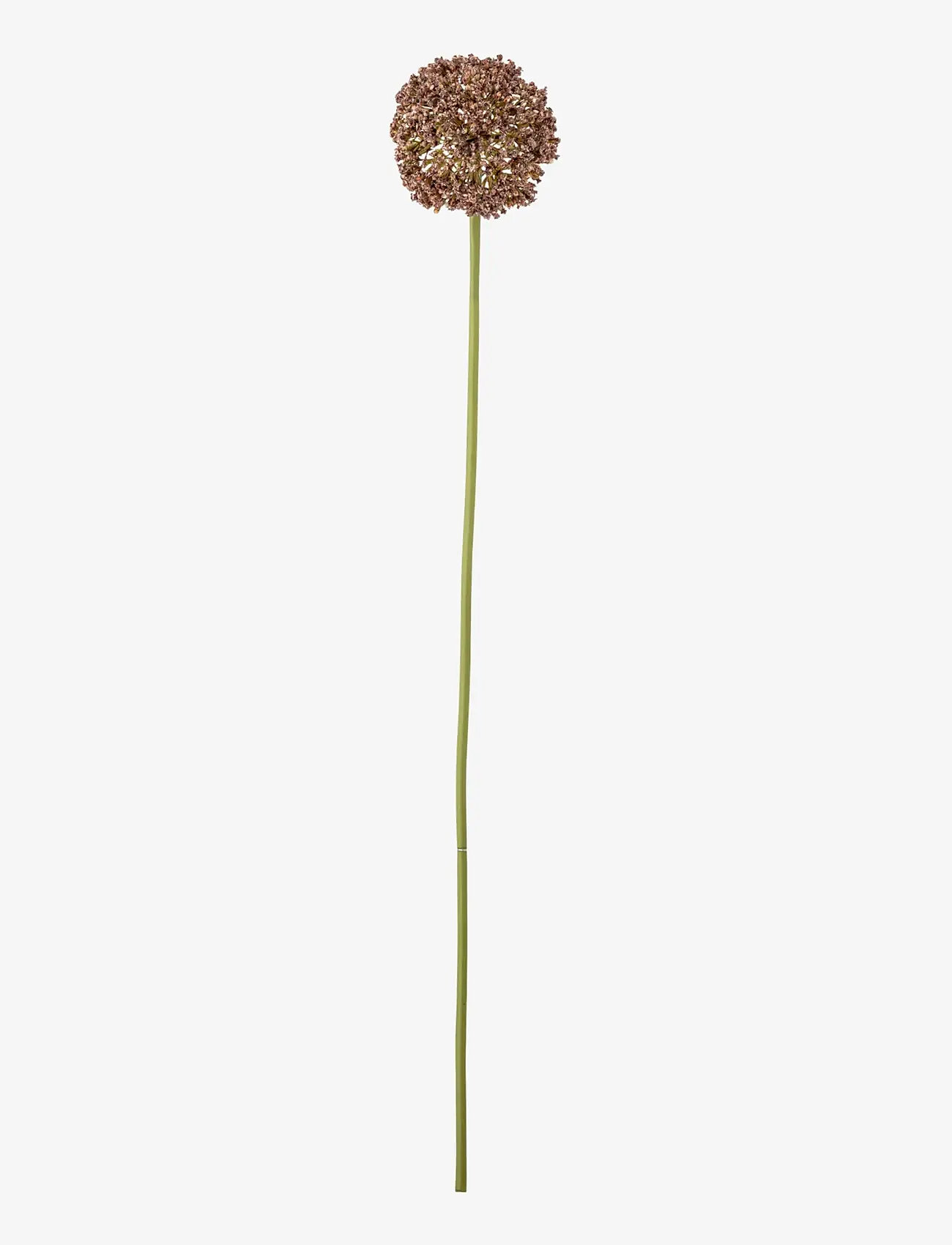 Bloomingville - Allium Stem - valentinsgaver - brown - 1