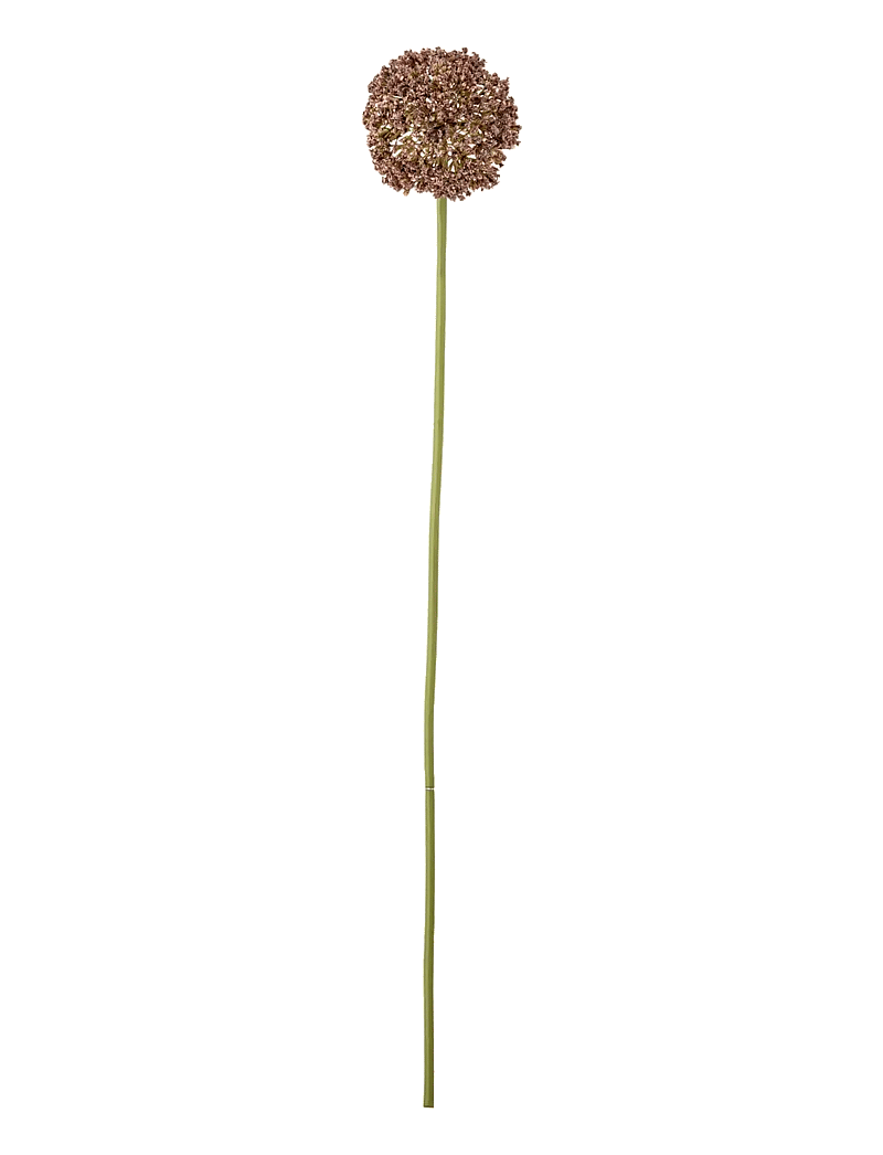 Bloomingville - Allium Stem - valentinstaggeschenke - brown - 1