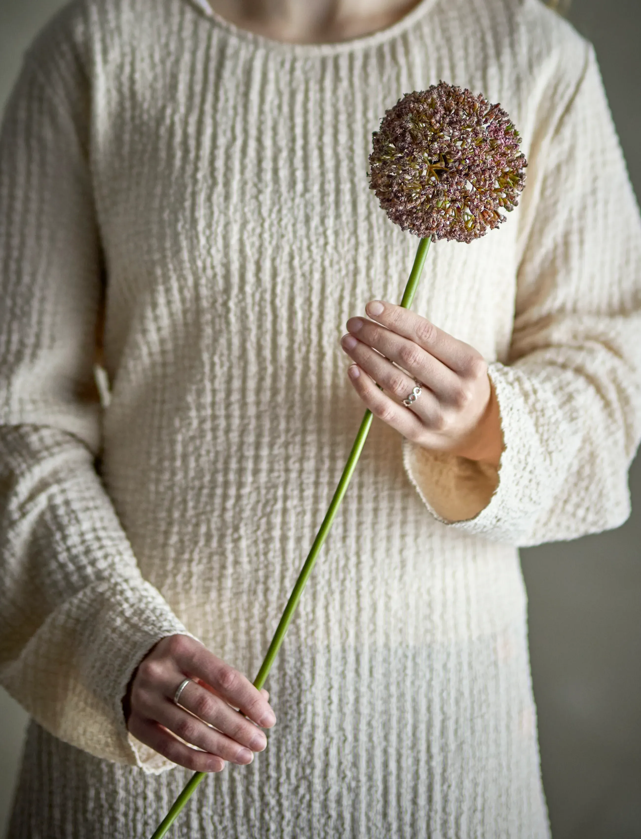 Bloomingville Allium Stem, H70 cm, Brown, Decoration > Dried & Fake Flowers, Unisex