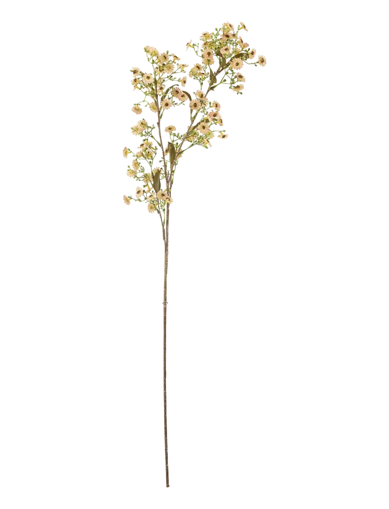 Bloomingville Waxflower Stem, Dried & Fake Flowers, Hvid, Str: H91CM