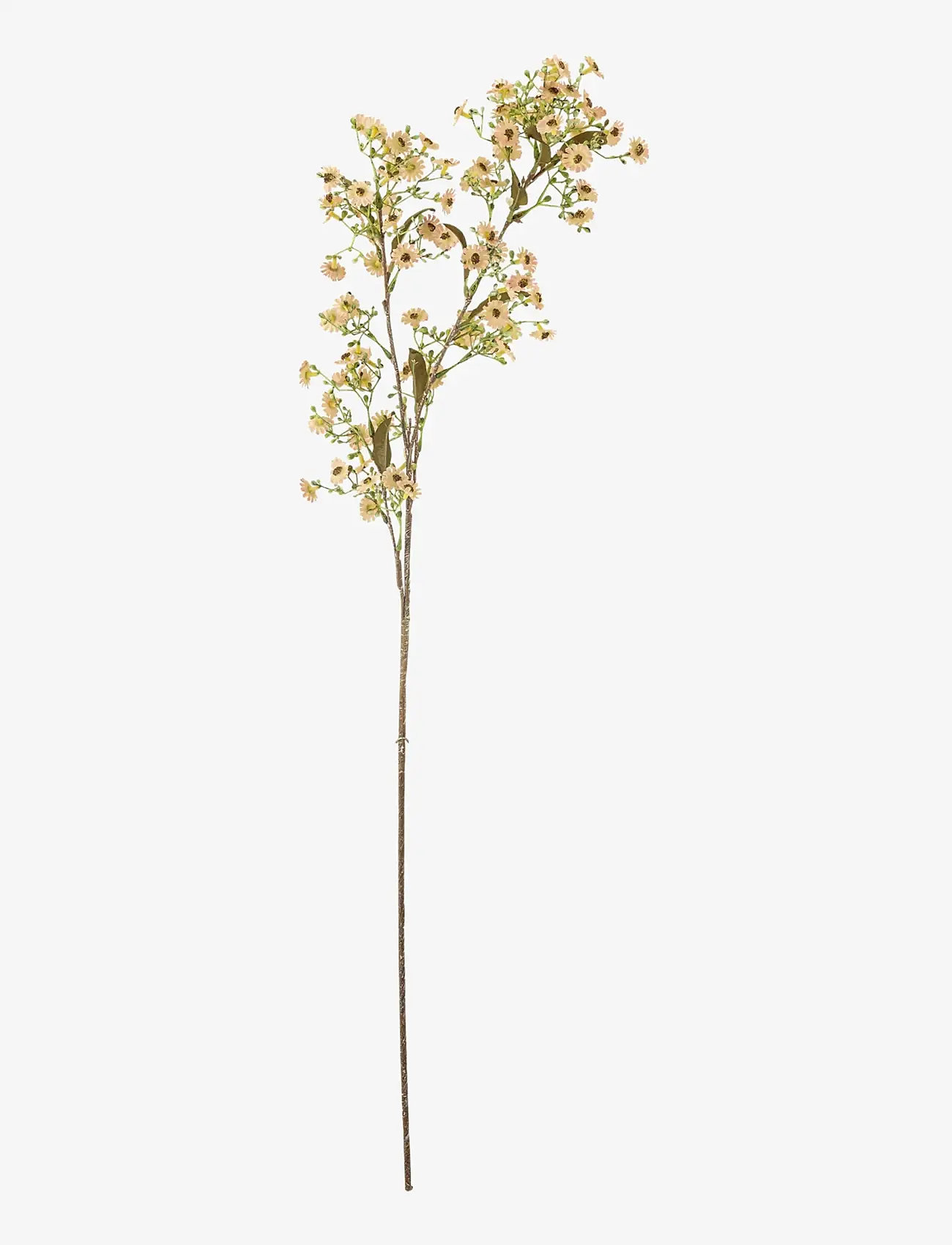 Bloomingville - Waxflower Stem - valentines day gifts - white - 1