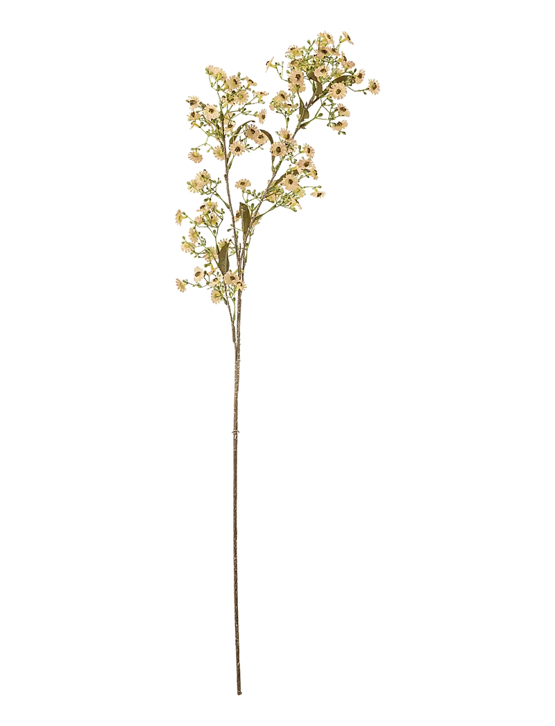 Bloomingville - Waxflower Stem - valentinstaggeschenke - white - 1