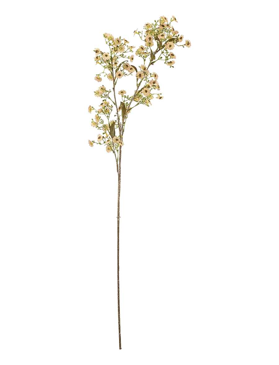 Bloomingville - Waxflower Stem - valentinstaggeschenke - white - 1