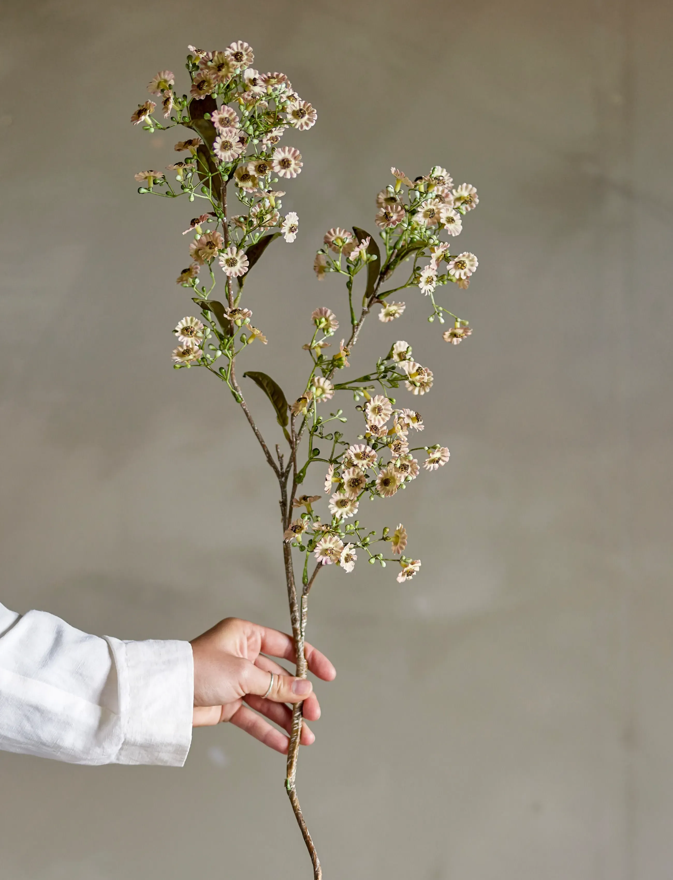 Bloomingville Waxflower Stem, H91 cm, Decoration, Weiß - Dried & Fake Flowers, Homeware