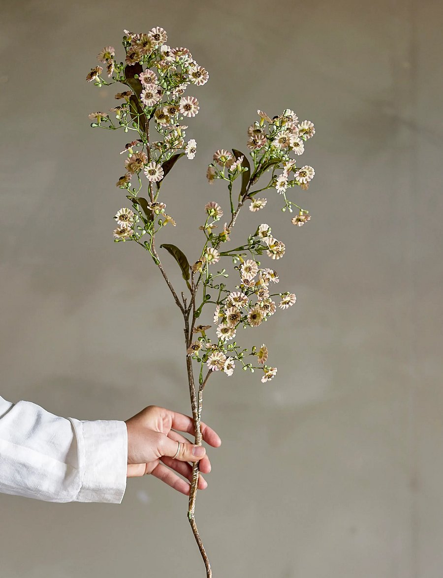 Bloomingville - Waxflower Stem - valentinstaggeschenke - white - 0