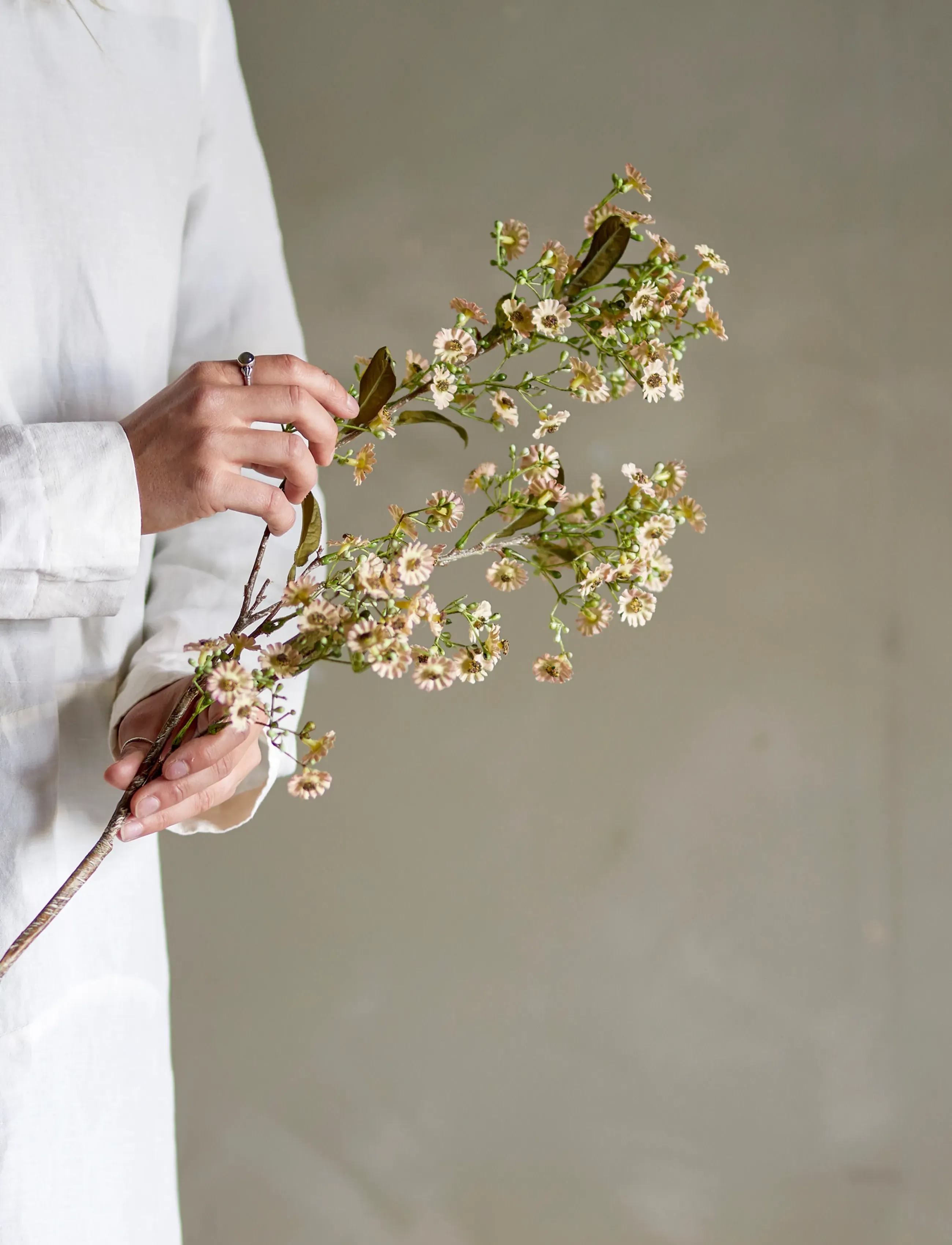 Bloomingville - Waxflower Stem - valentinstaggeschenke - white - 2