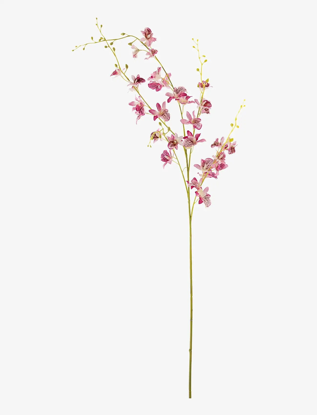 Bloomingville - Orchid Stem - valentinstaggeschenke - red - 1
