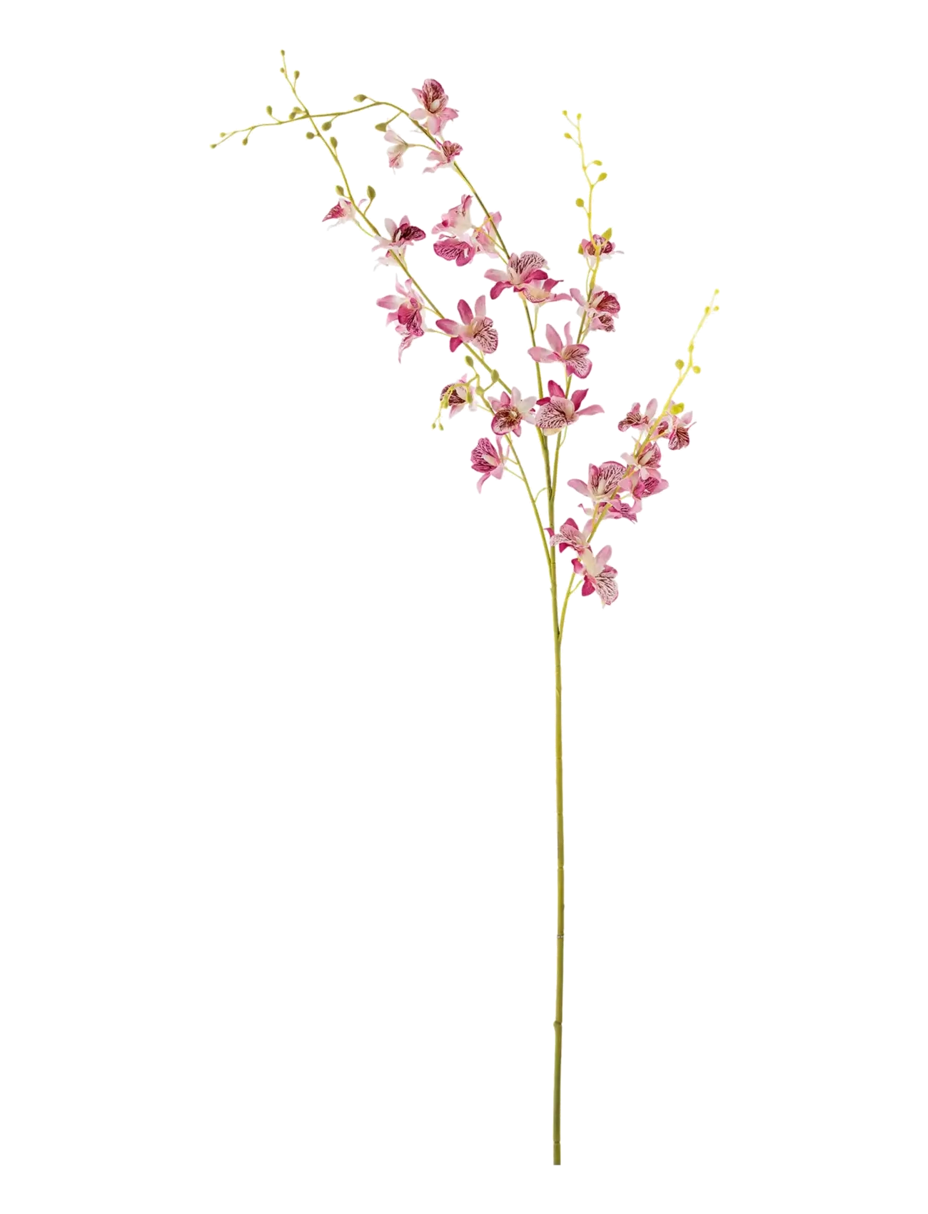 Bloomingville Orchid Stem - Vis alt - RED / pink/rose