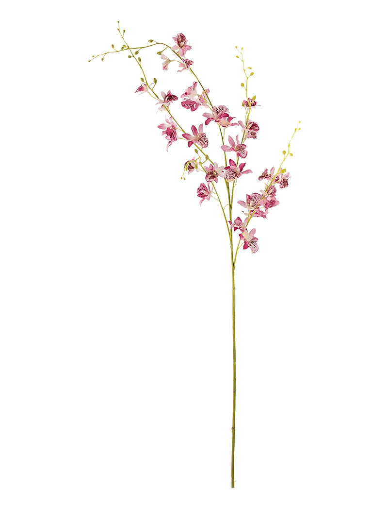 Bloomingville - Orchid Stem - valentinstaggeschenke - red - 1