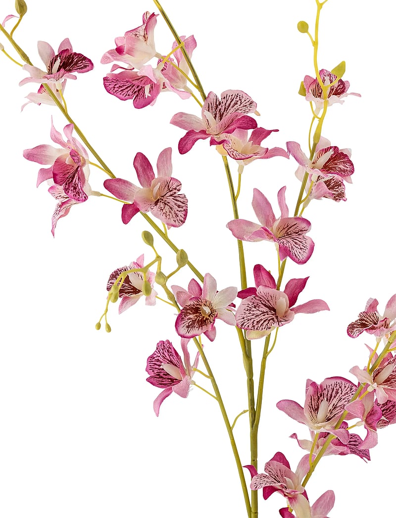 Bloomingville - Orchid Stem - valentinstaggeschenke - red - 4