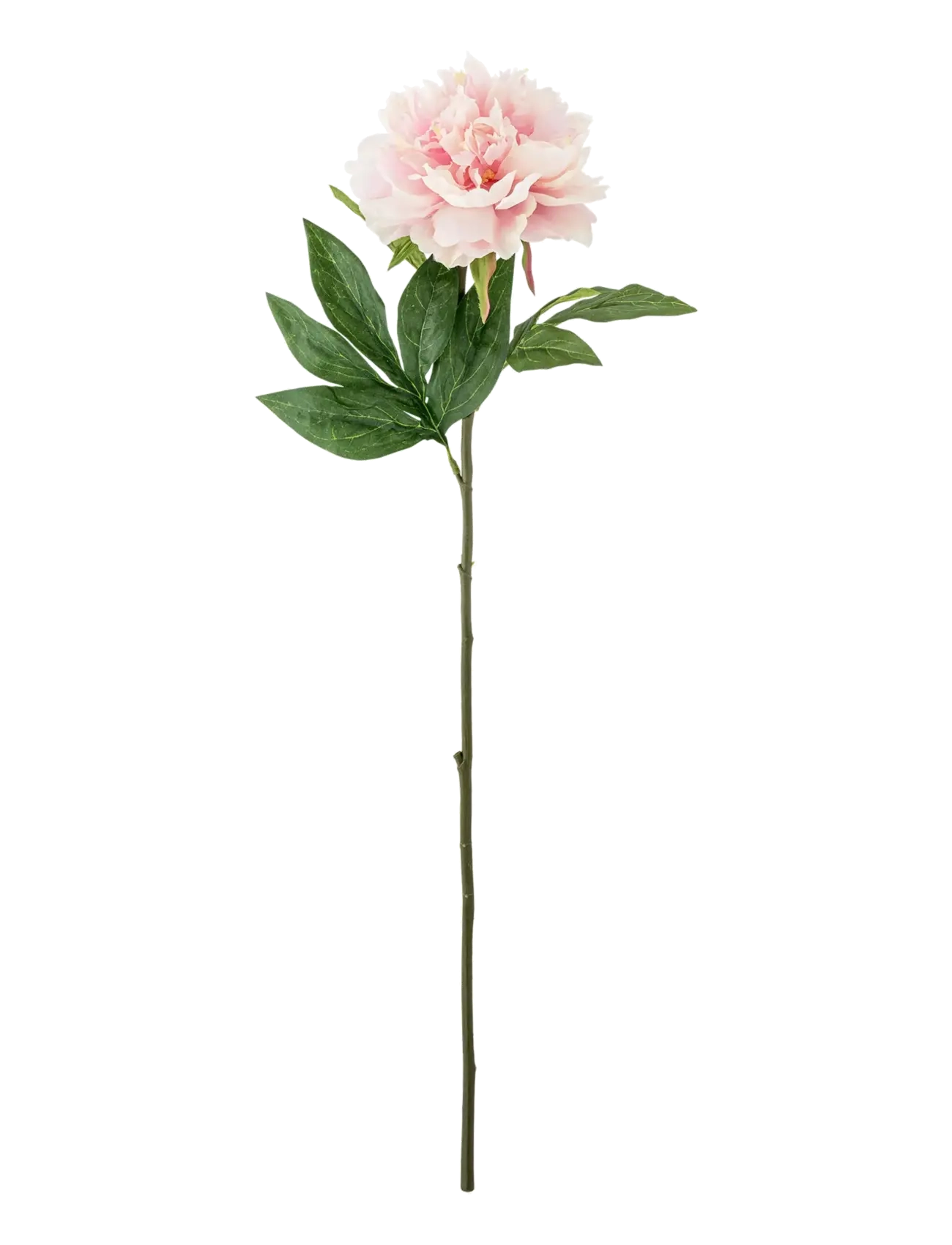 BLOOMINGVILLE Peony Stem Pink - H66CM - Unisex