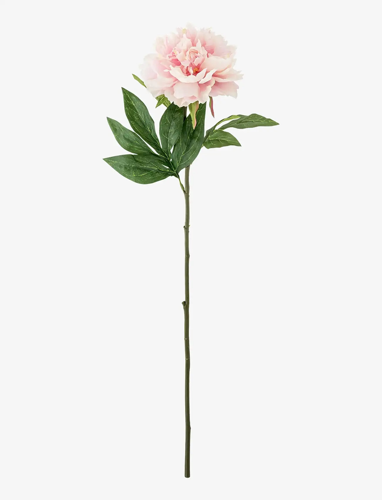 Bloomingville - Peony Stem - prezenty na walentynki - red - 1