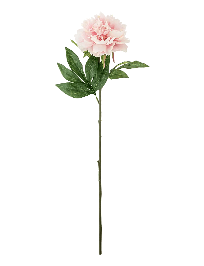 Bloomingville - Peony Stem - valentinstaggeschenke - red - 1