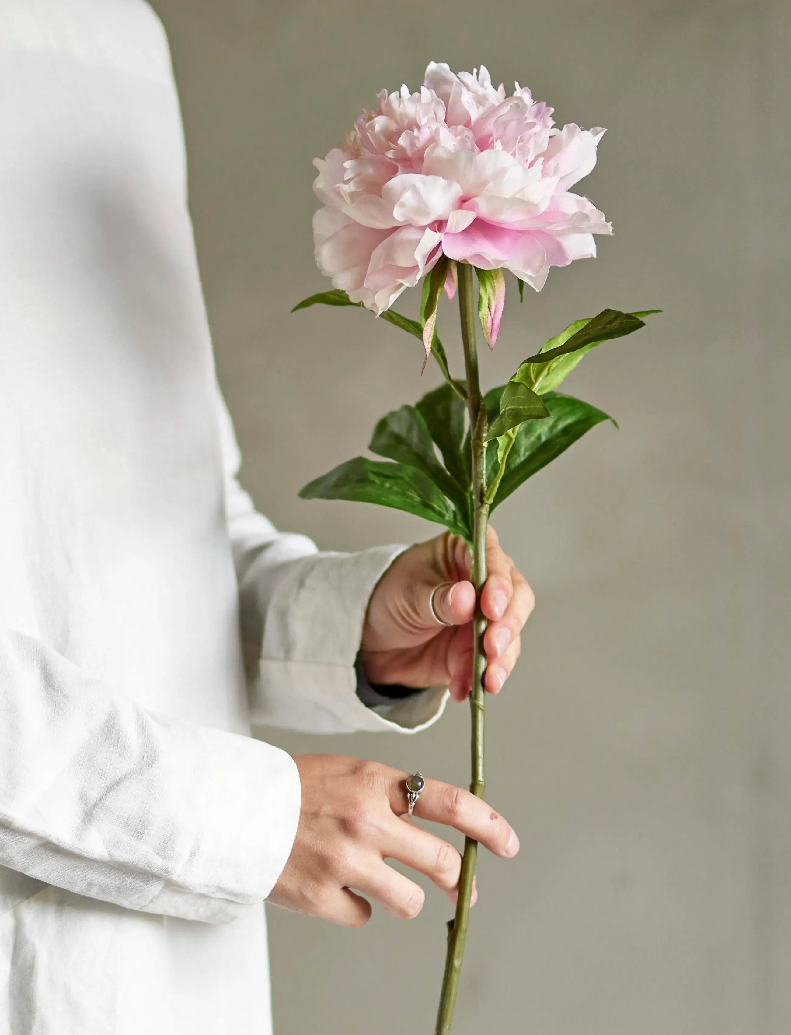 Bloomingville Peony Stem, H66 cm, Decoration, Rosa - Dried & Fake Flowers, Homeware