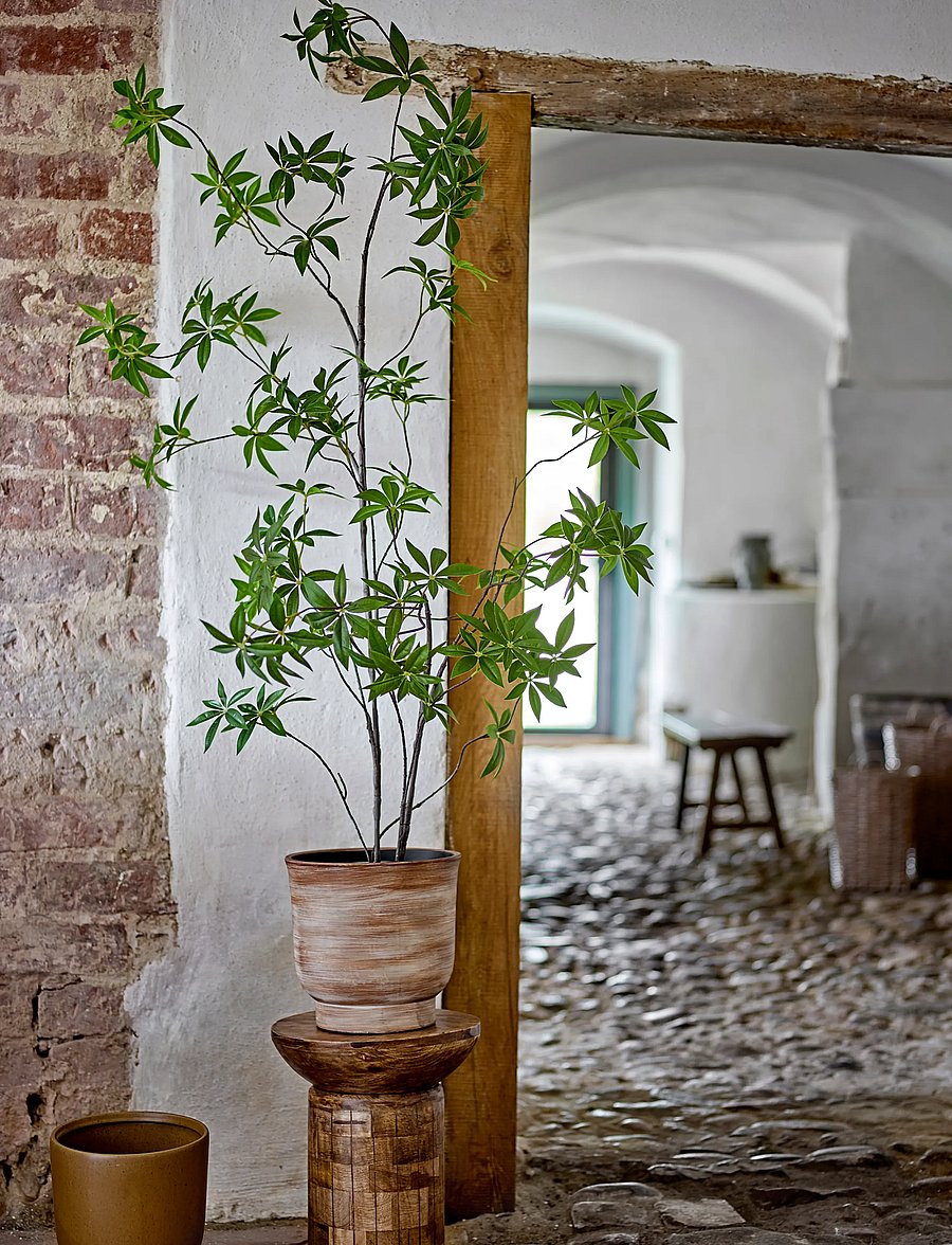 Bloomingville - Palmatum Plant - valentinstaggeschenke - green - 0