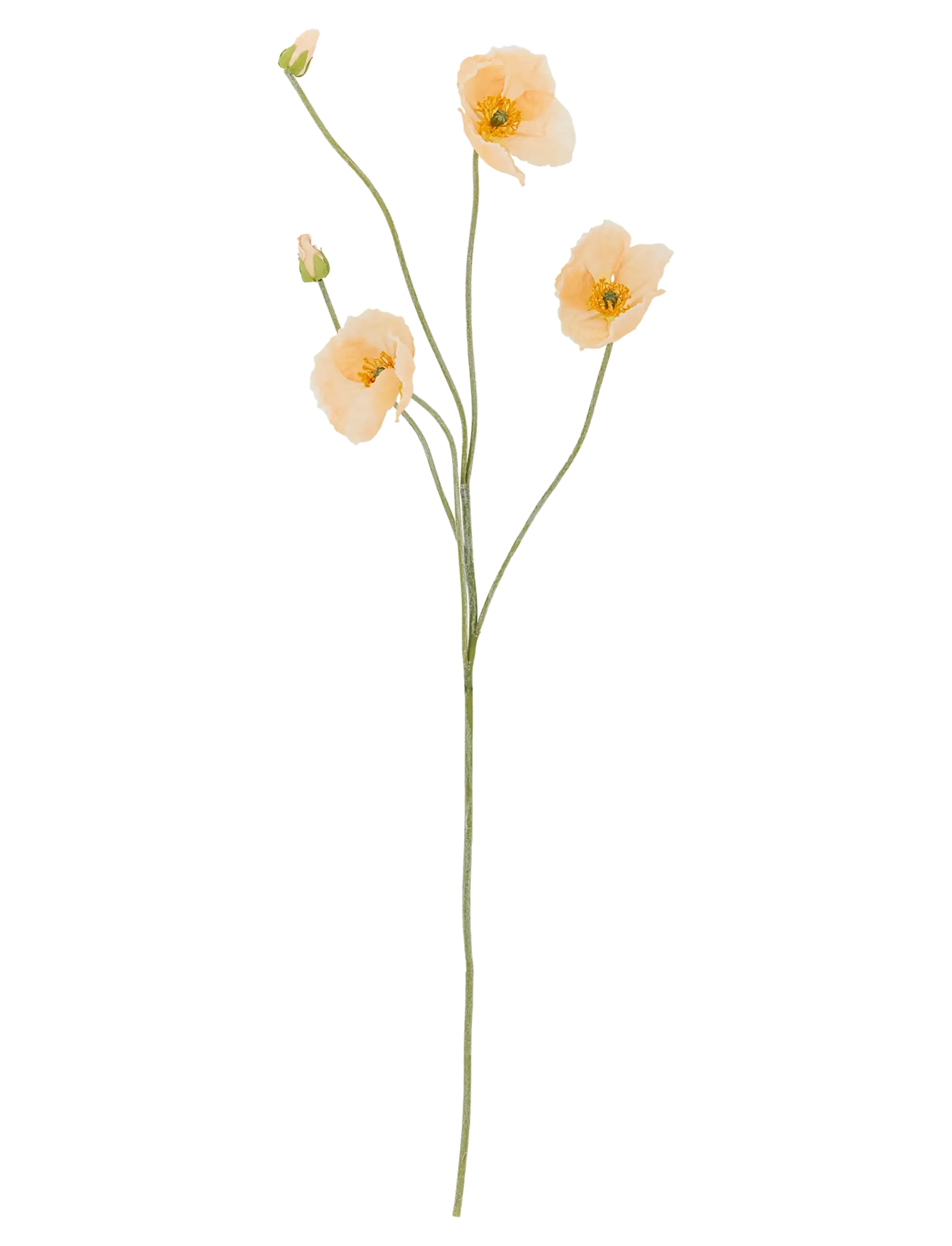 BLOOMINGVILLE Poppy Stem Cream - H110CM - Unisex