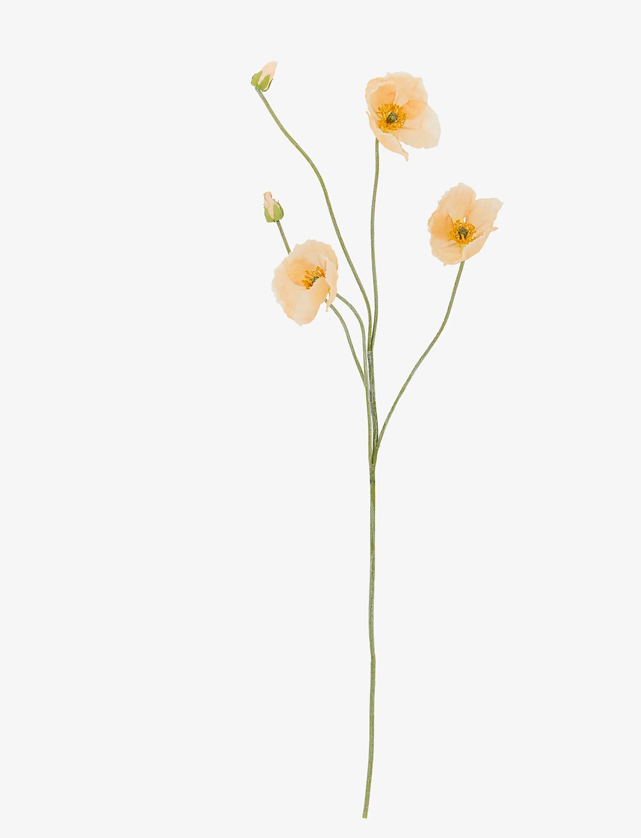 Bloomingville - Poppy Stem - valentines day gifts - cream - 1
