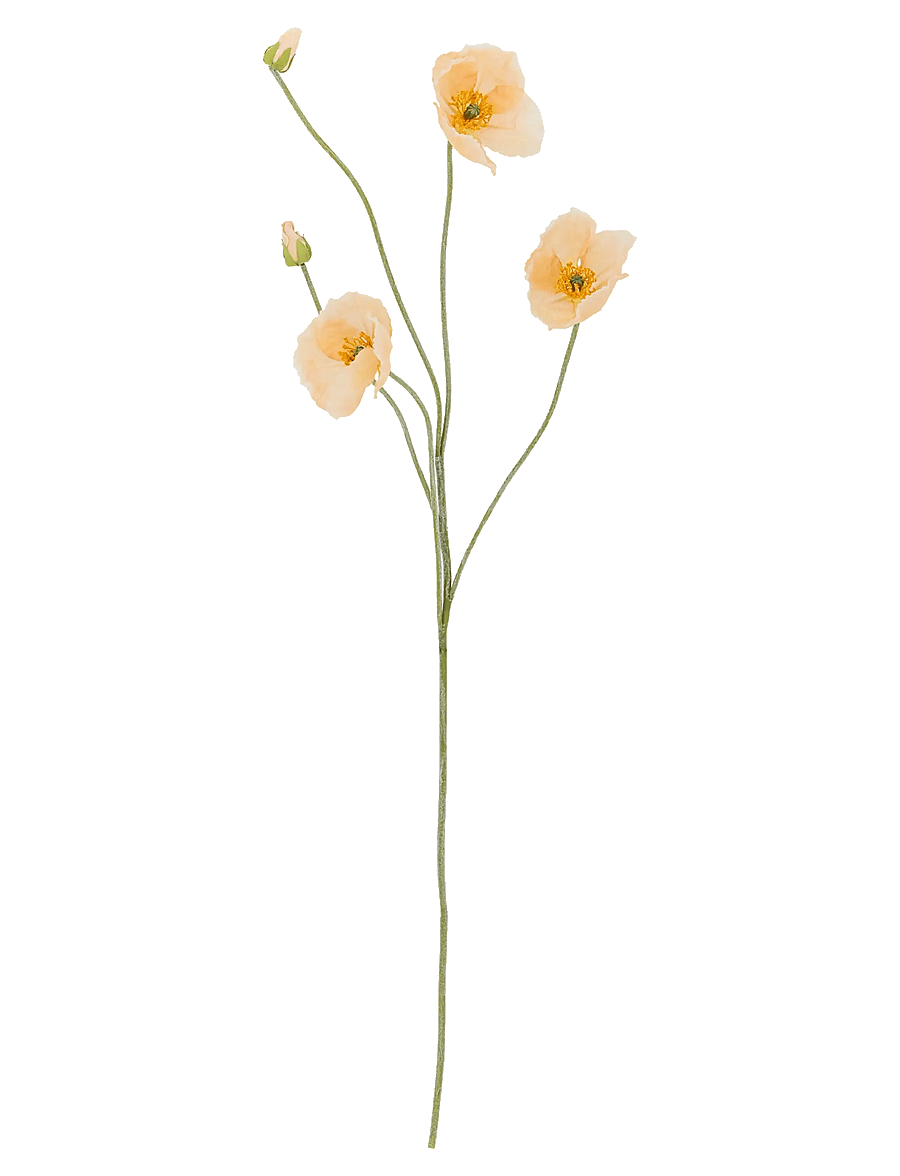 Bloomingville - Poppy Stem - madalaimad hinnad - cream - 0