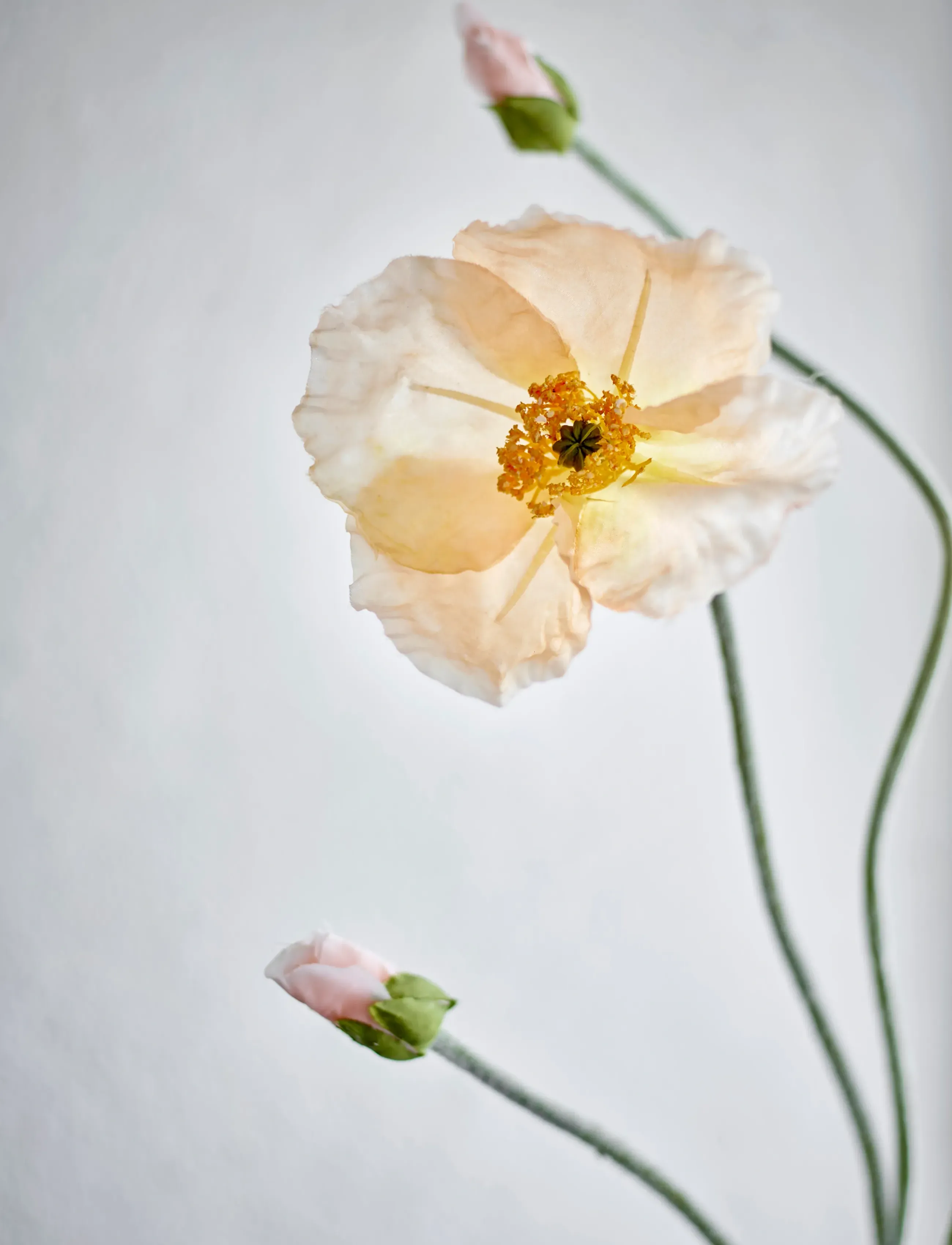 Bloomingville - Poppy Stem - ystävänpäivälahjat - cream - 2