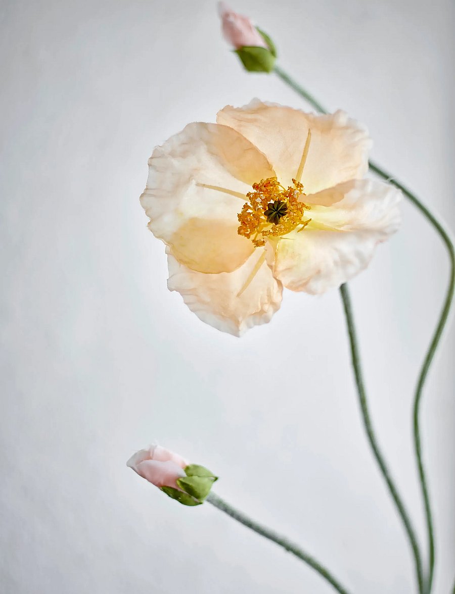 Bloomingville - Poppy Stem - madalaimad hinnad - cream - 2
