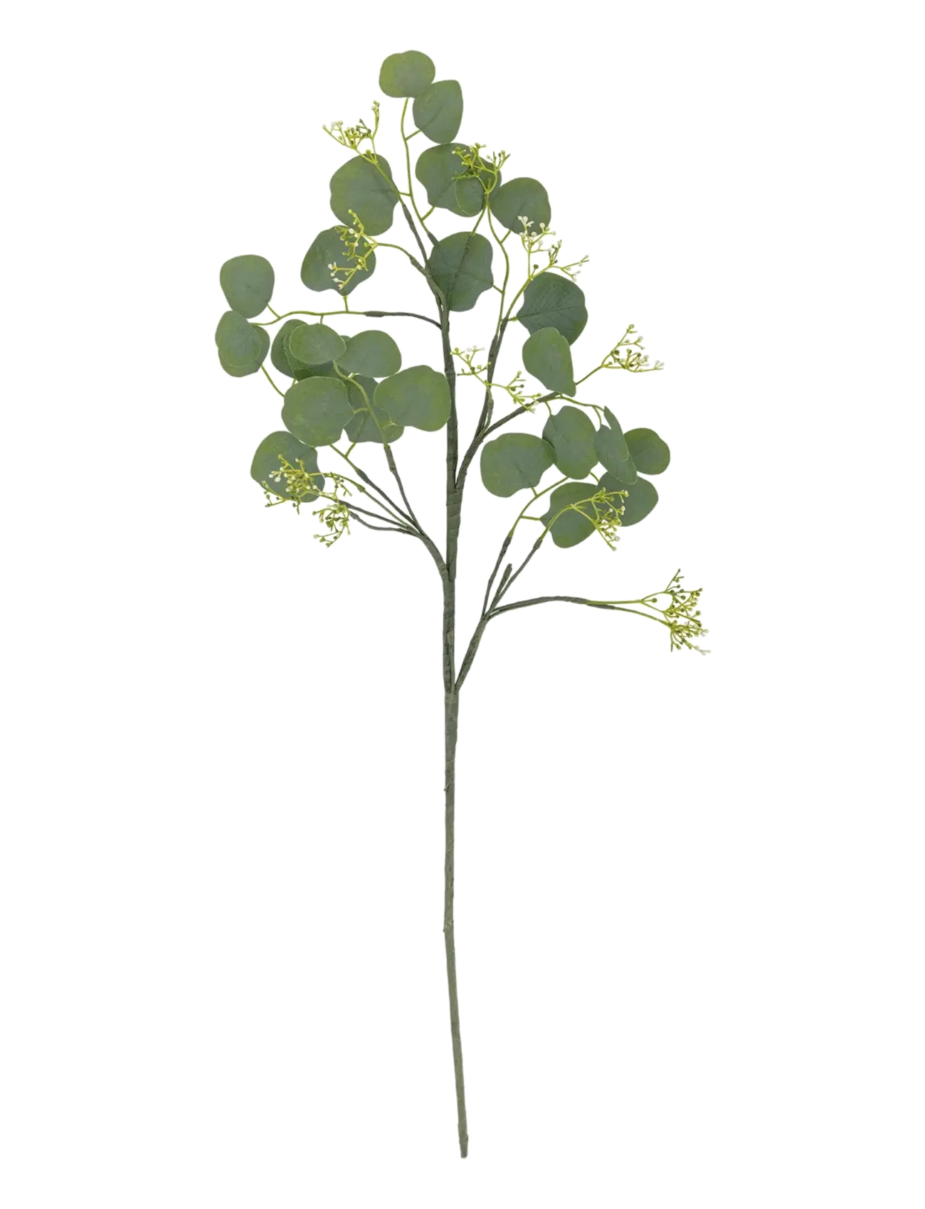 Bloomingville Eucalyptus Stem, Dried & Fake Flowers, Grøn, Str: H82CM