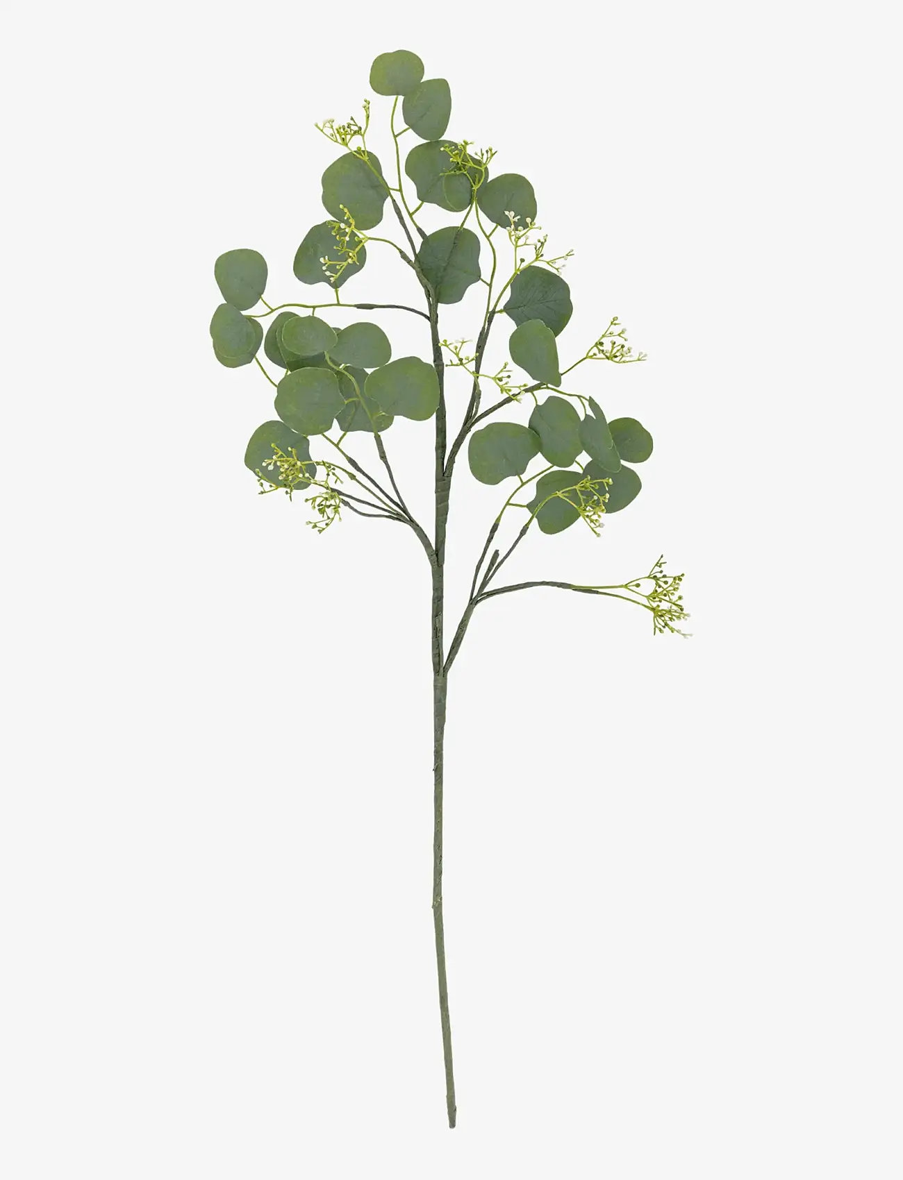 Bloomingville - Eucalyptus Stem - valentinsgaver - green - 1