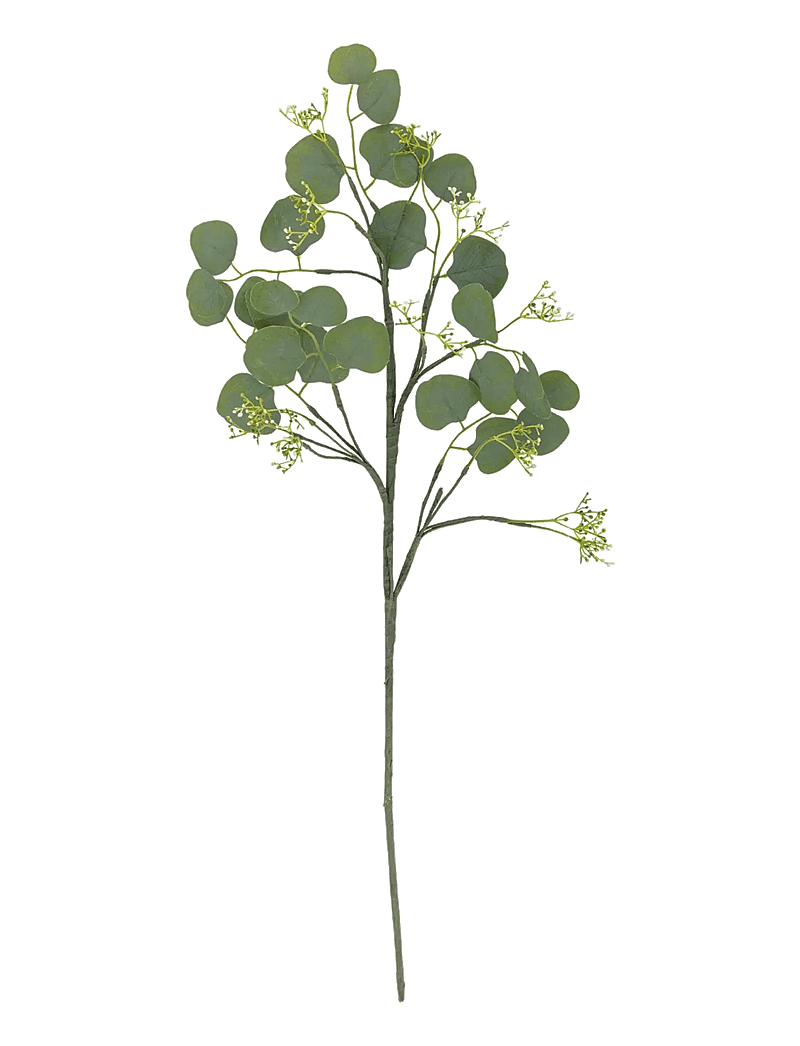 Bloomingville - Eucalyptus Stem - valentinstaggeschenke - green - 1
