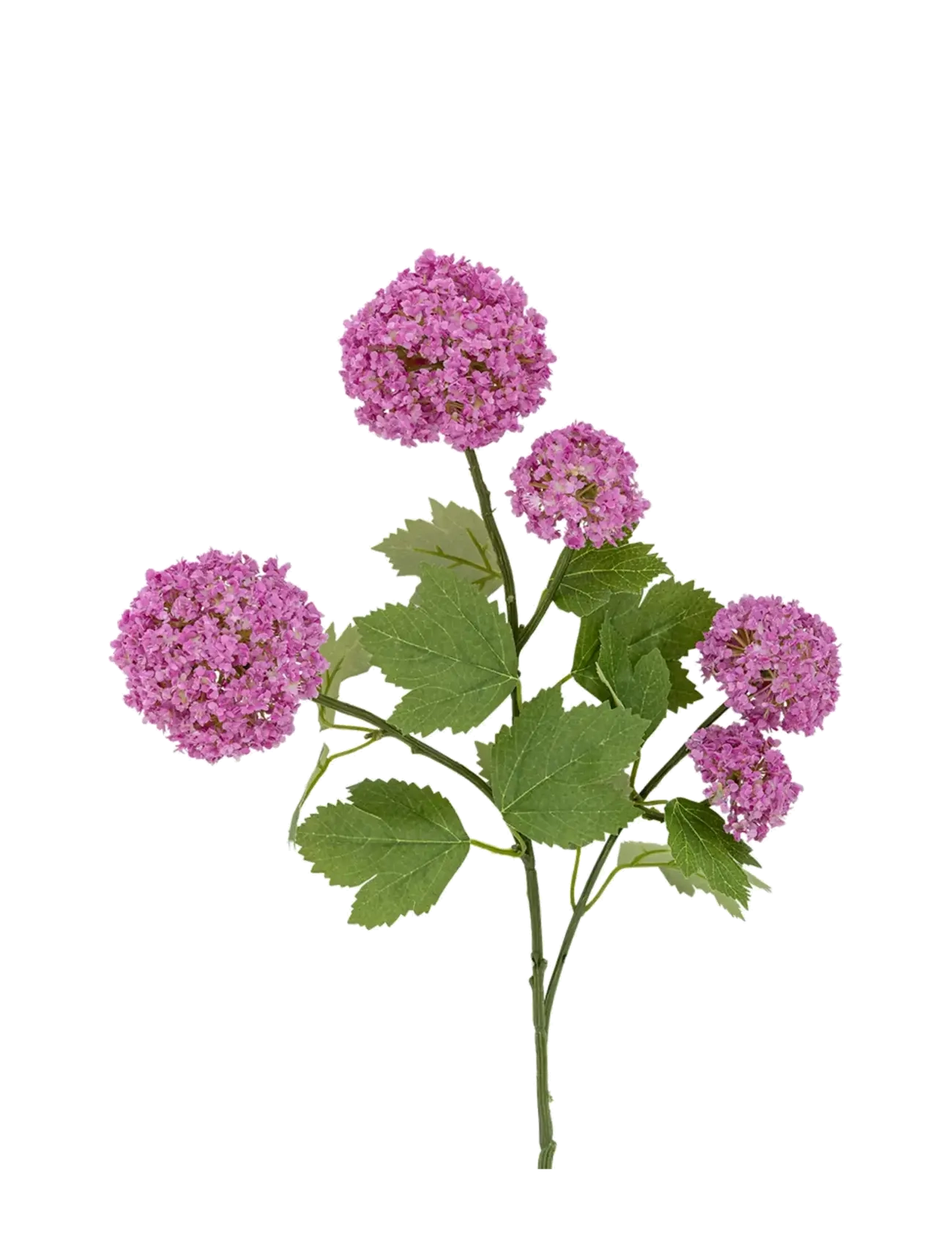 Bloomingville Snowball Stem, Dried & Fake Flowers, Lila, Str: H73CM