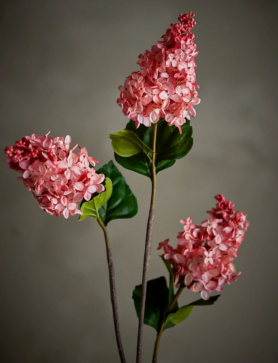 Bloomingville - Hydrangea Stem - die niedrigsten preise - red - 1
