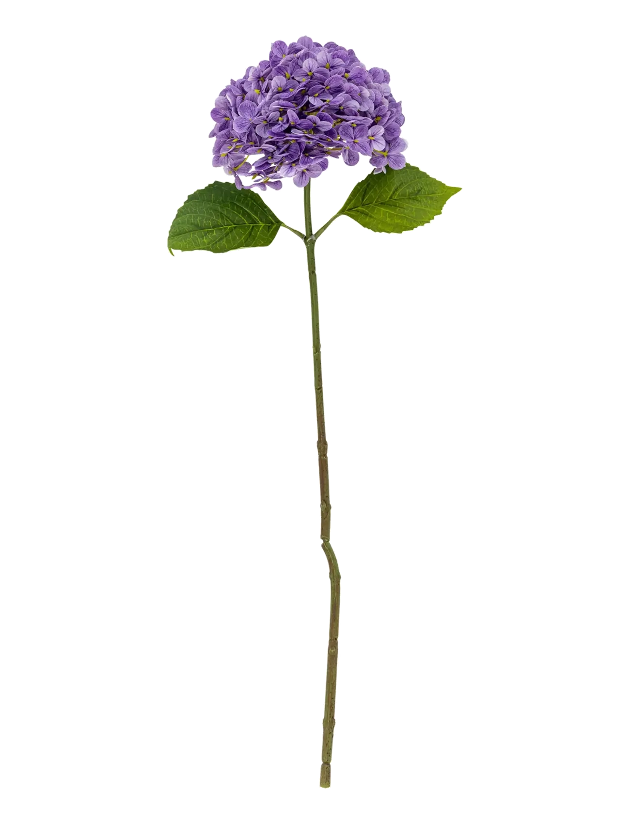 Bloomingville Hydrangea Stem, Dried & Fake Flowers, Lila, Str: H73CM