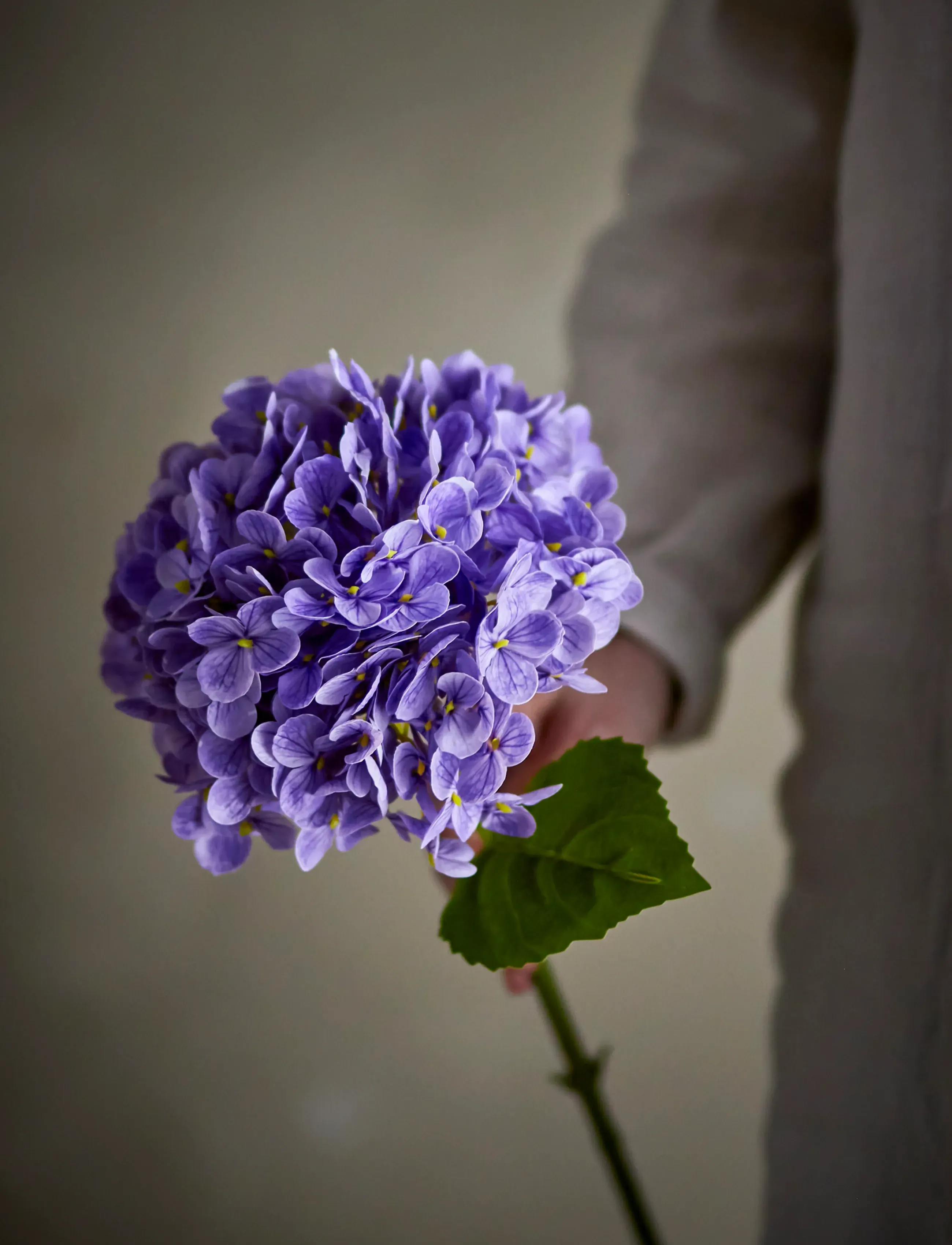 Bloomingville Hydrangea Stem, H73 cm, Decoration, Lila - Dried & Fake Flowers, Homeware