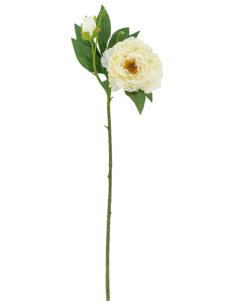 Bloomingville - Peony Stem - valentinstaggeschenke - white - 1