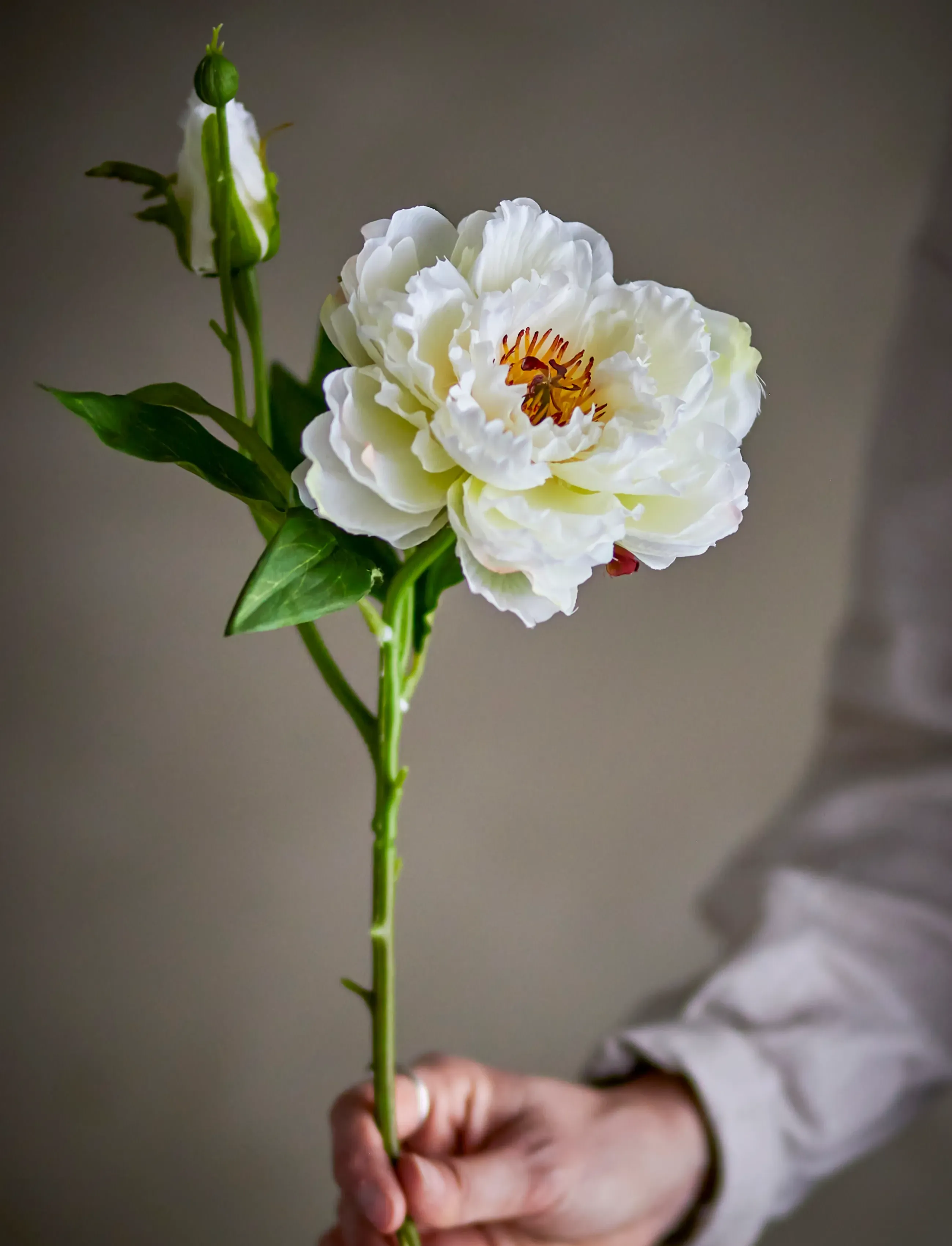 Bloomingville Peony Stem, H62 cm, White, Decoration > Dried & Fake Flowers, Unisex