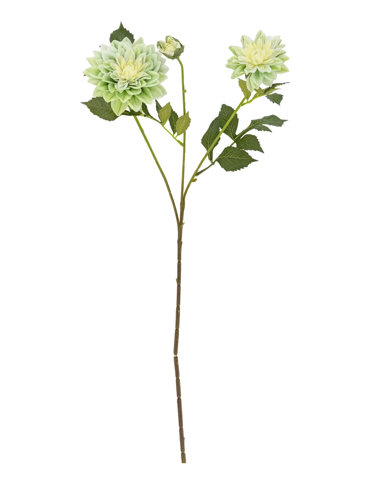 Bloomingville Chrysantemum Stem, Dried & Fake Flowers, Hvid, Str: H75CM