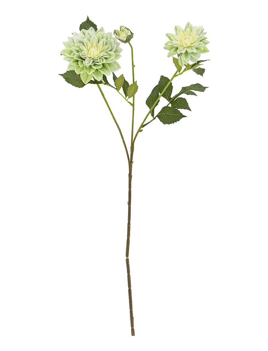 Bloomingville - Chrysantemum Stem - die niedrigsten preise - white - 0