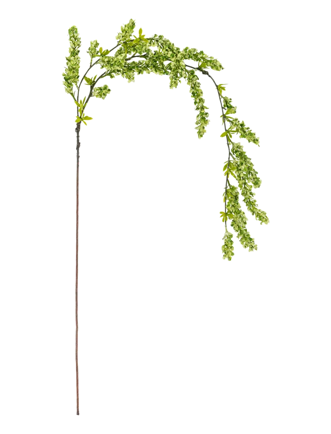 Bloomingville Reed Stem, Dried & Fake Flowers, Grøn, Str: H132CM