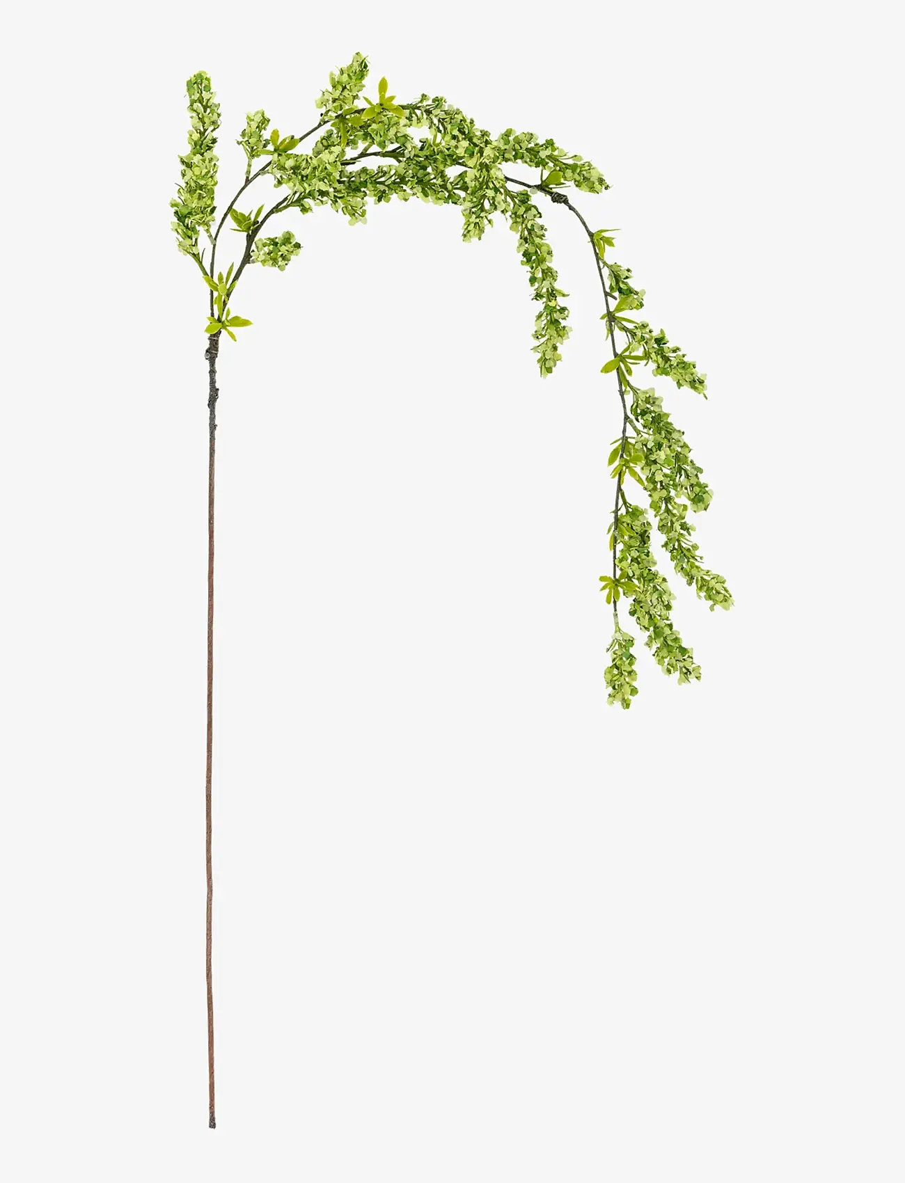 Bloomingville - Reed Stem - valentinsgaver - green - 1