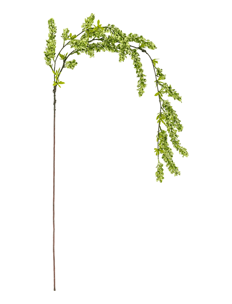 Bloomingville - Reed Stem - die niedrigsten preise - green - 0