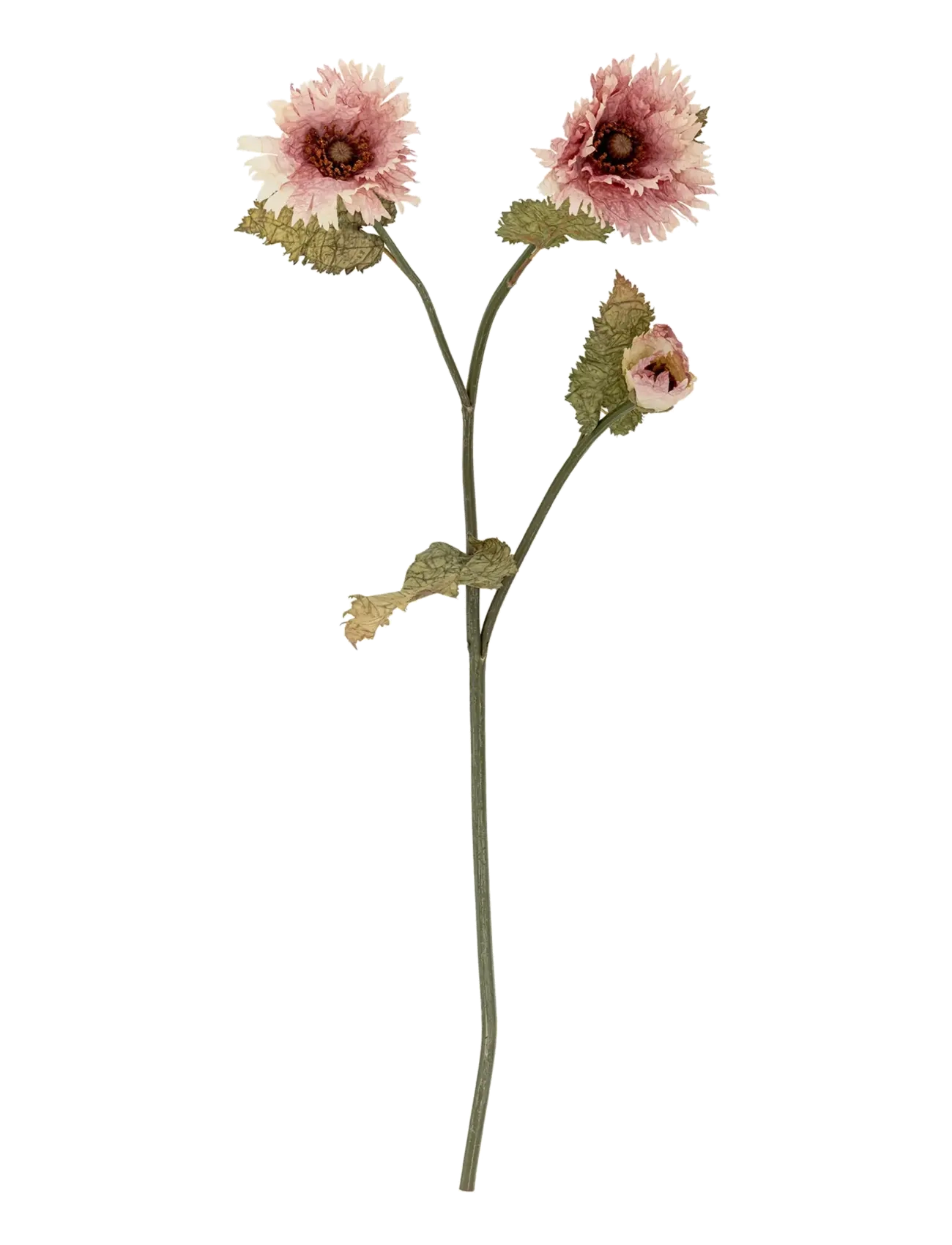 BLOOMINGVILLE Chrysantemum Stem Pink - H96CM - Unisex