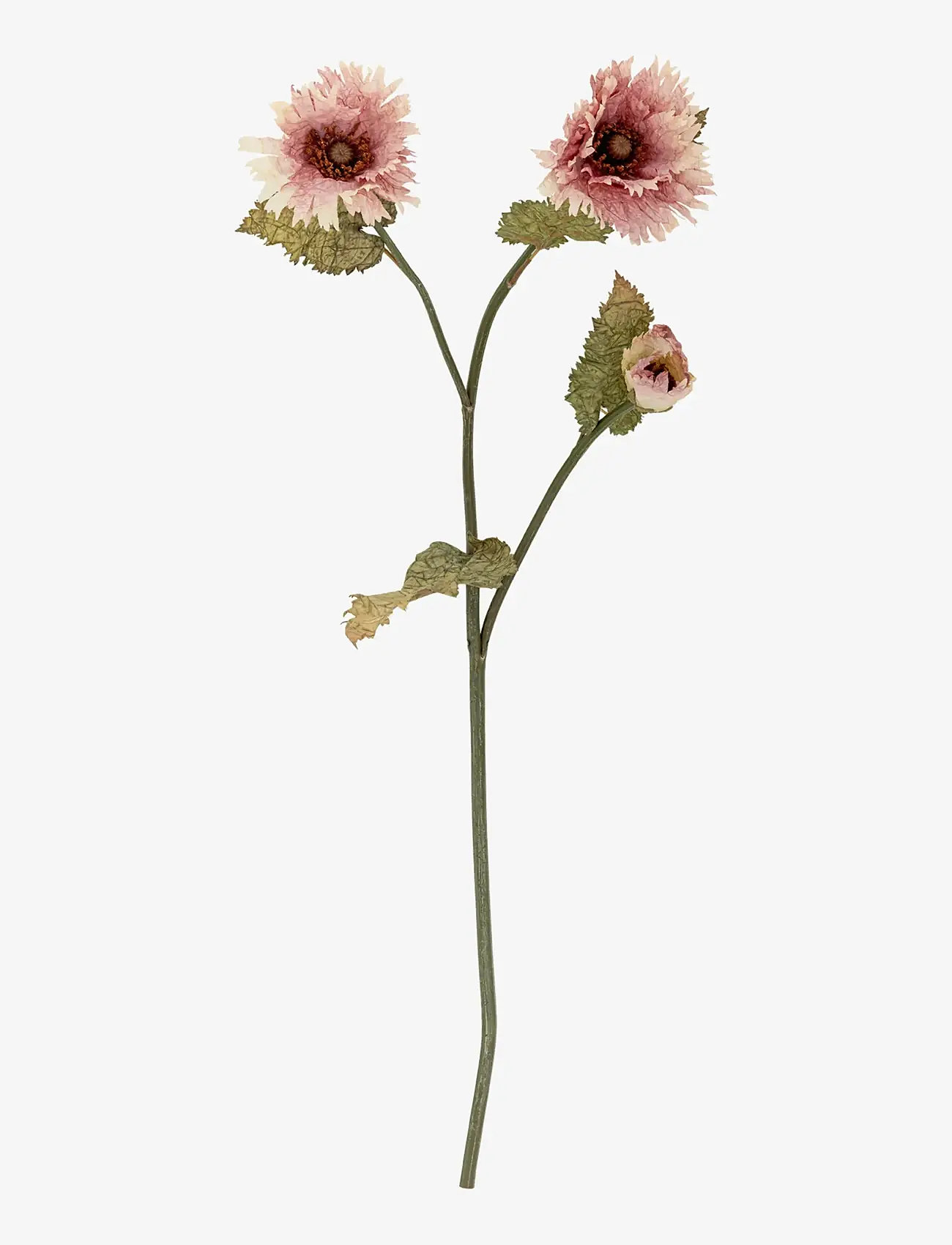 Bloomingville - Chrysantemum Stem - alla hjärtans dag-presenter - red - 1