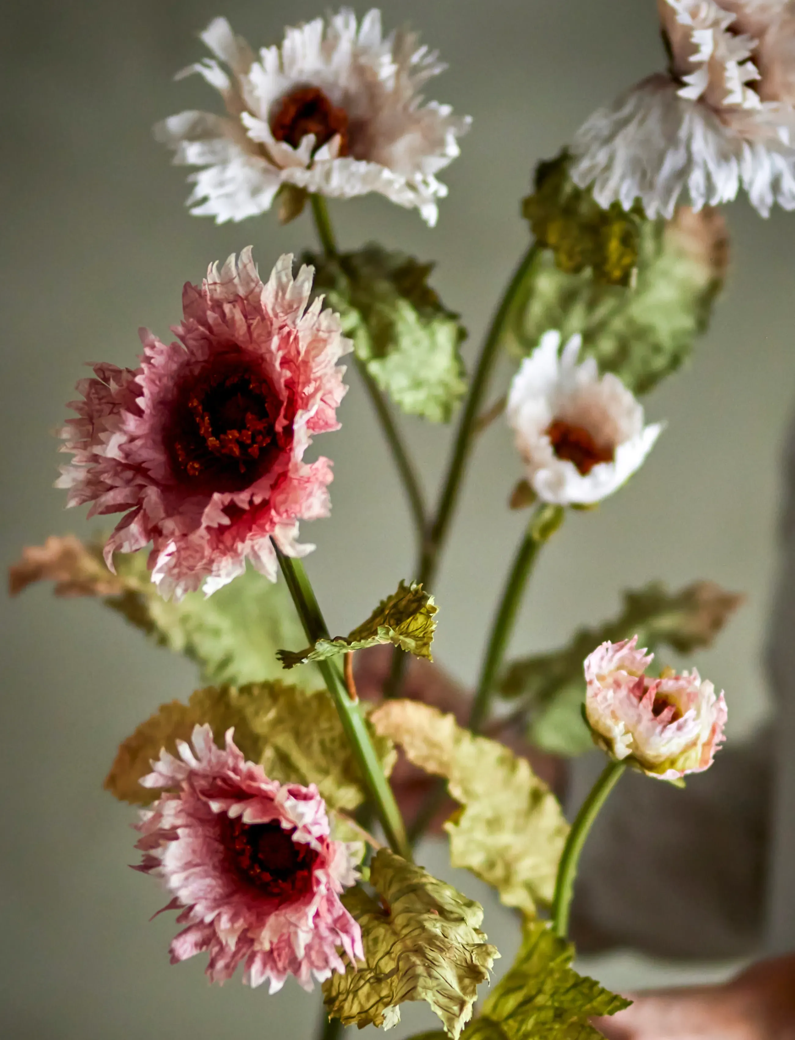 Bloomingville - Chrysantemum Stem - valentinsgaver - red - 2