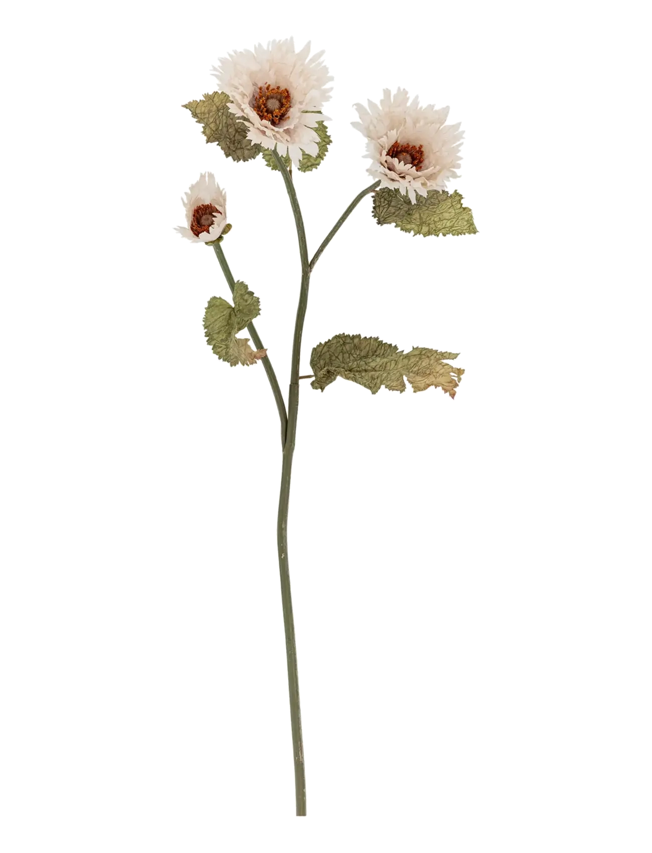 Bloomingville Chrysantemum Stem, Dried & Fake Flowers, Hvid, Str: H96CM