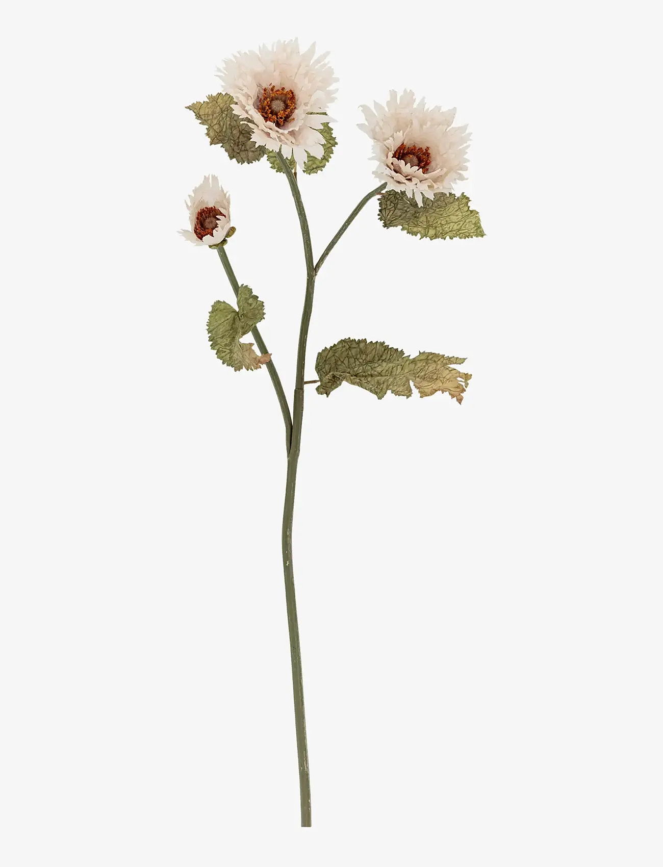 Bloomingville - Chrysantemum Stem - valentinsgaver - white - 1